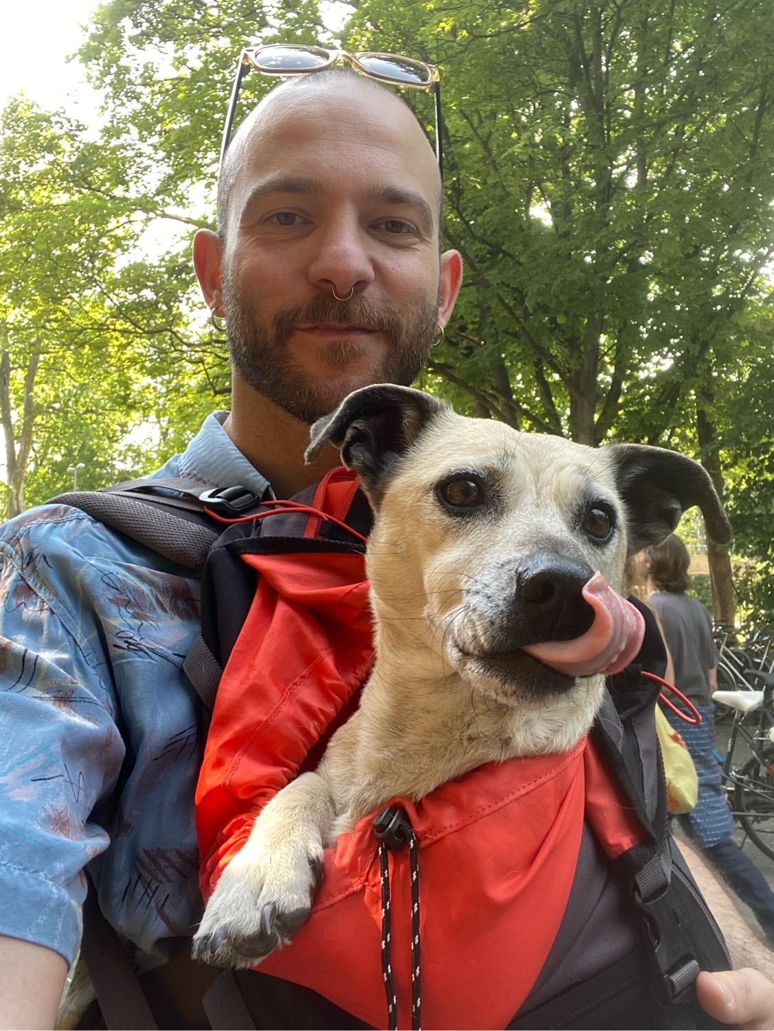 image-14
