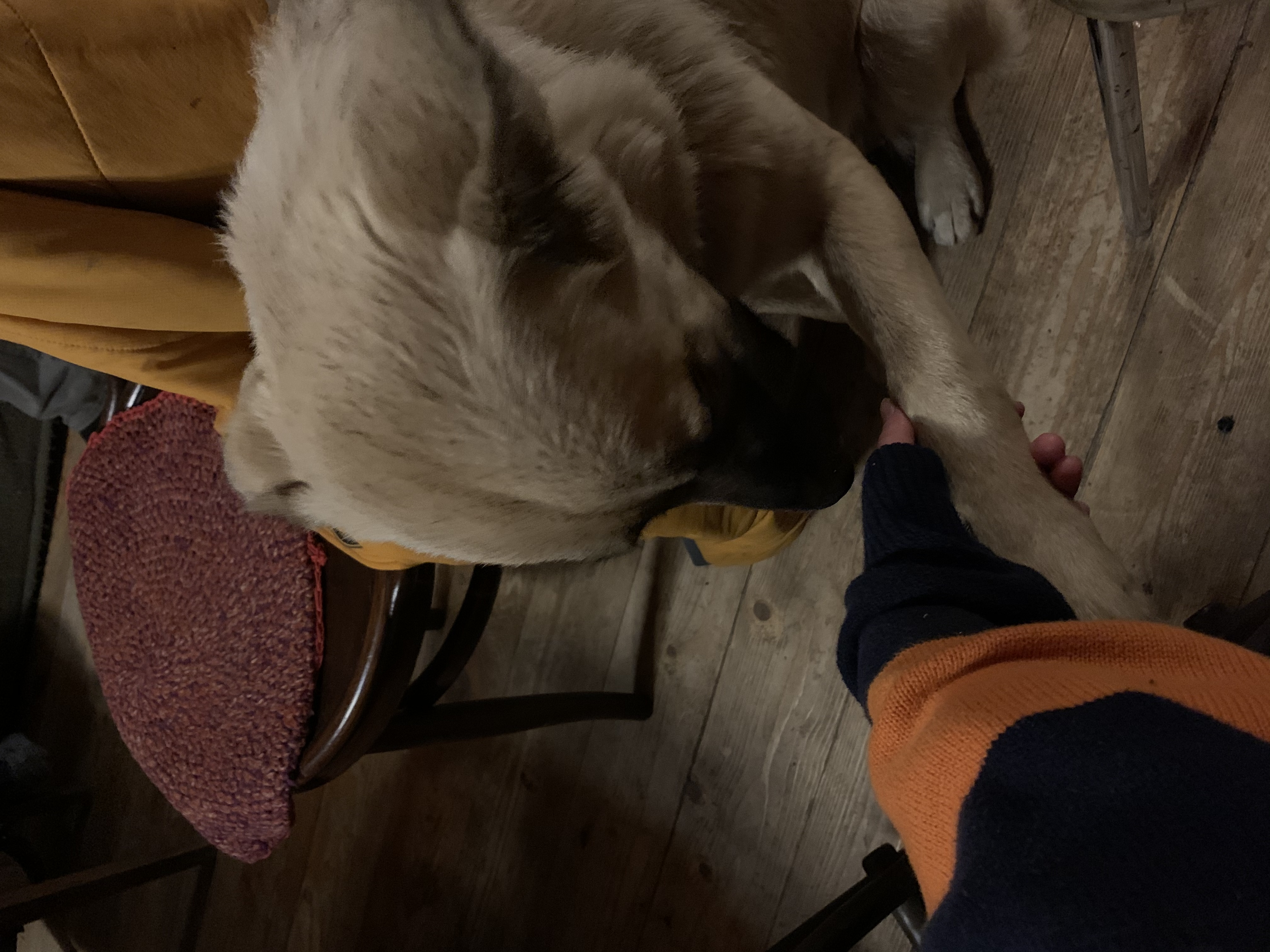 image-6