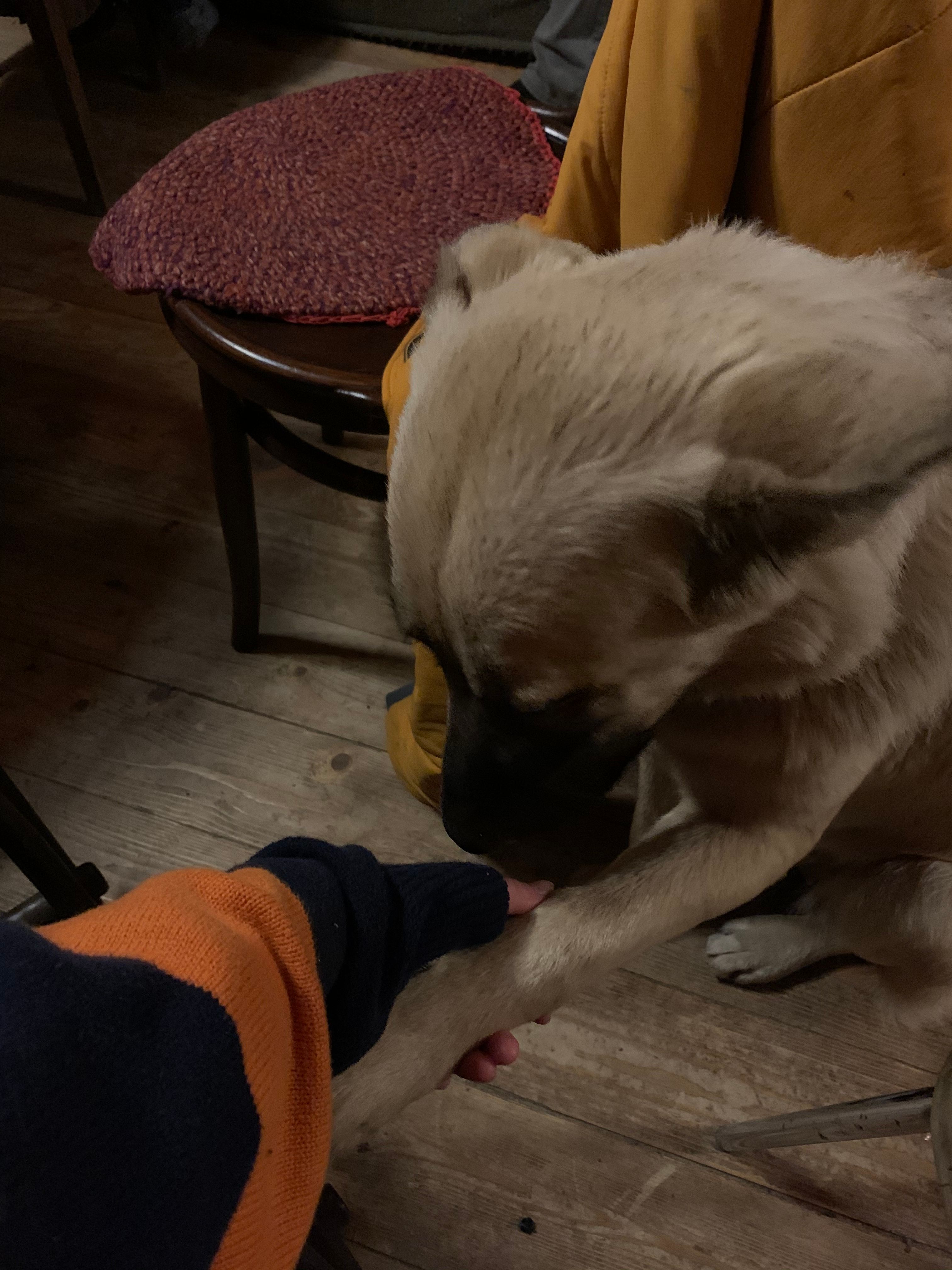 image-6