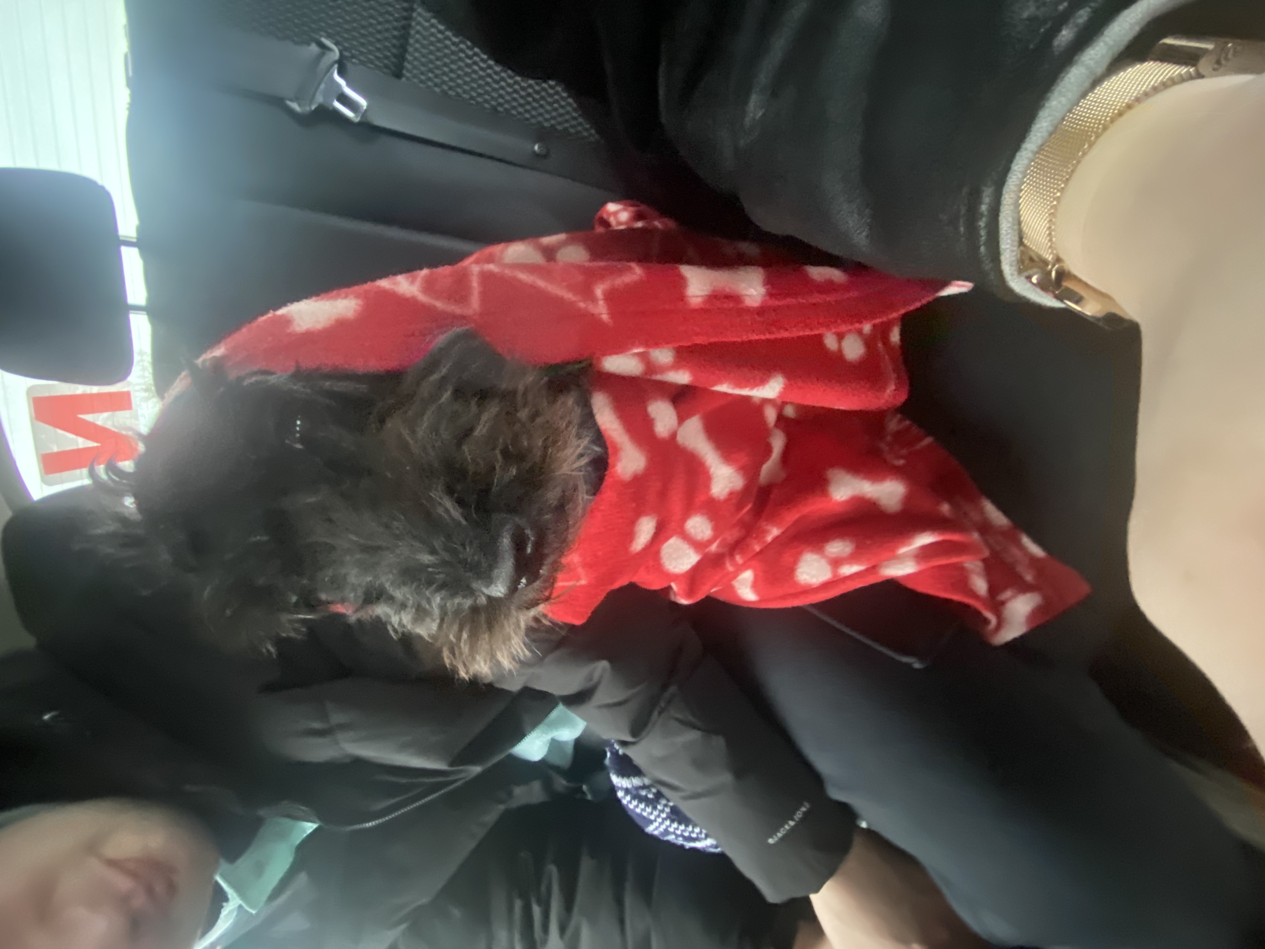 image-5
