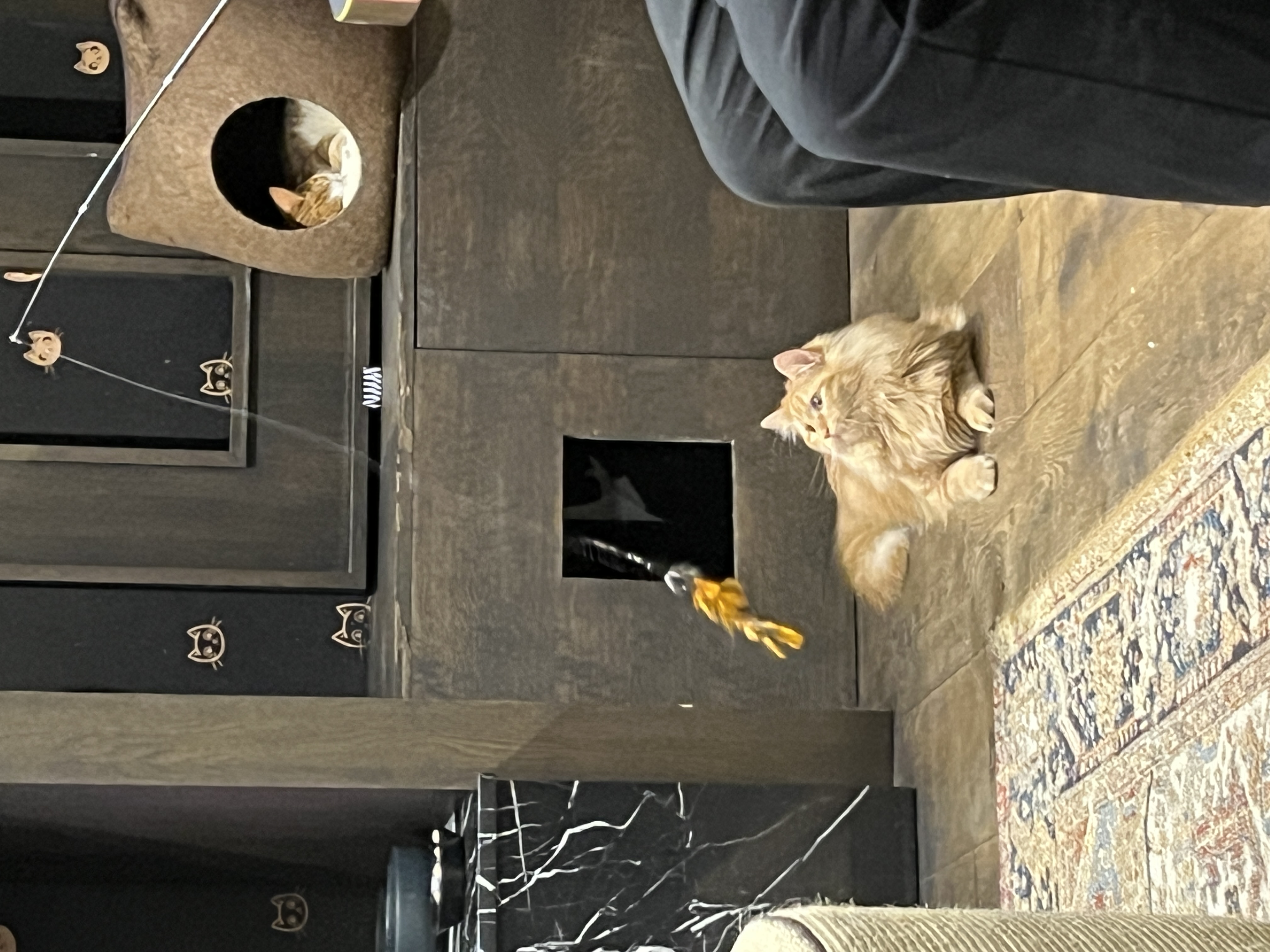 image-6