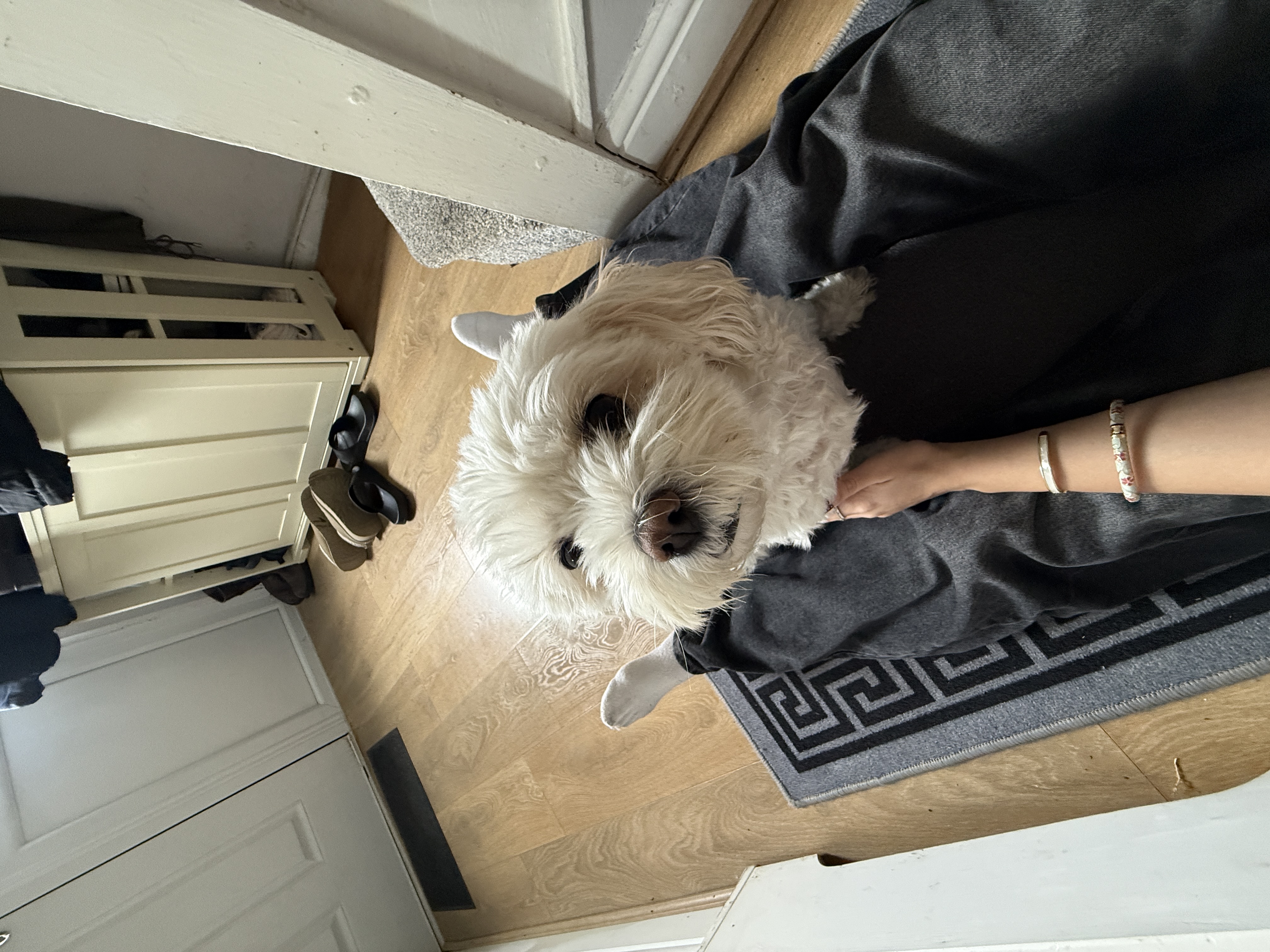 image-8