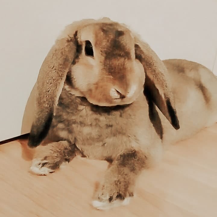 Lili
