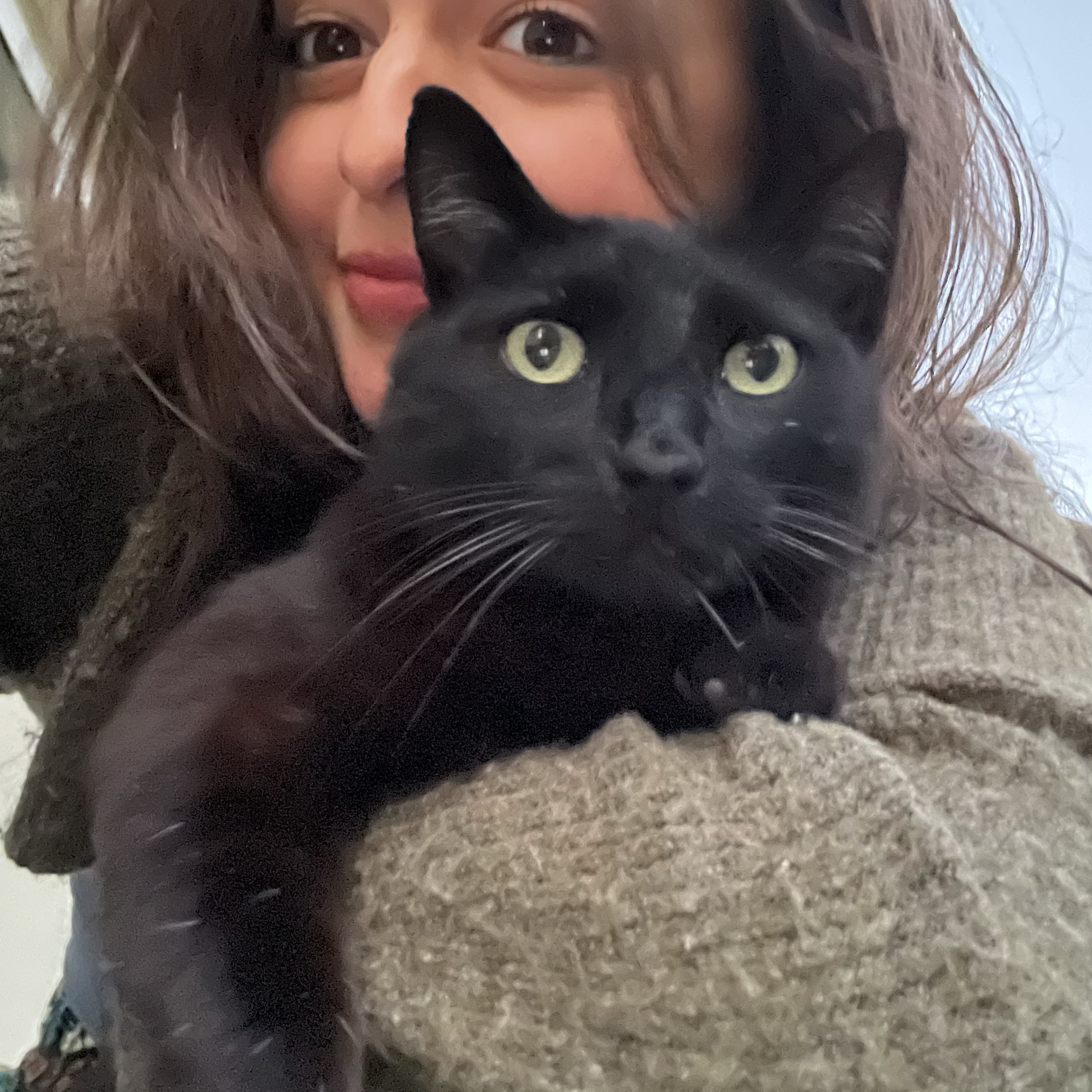 Baloo