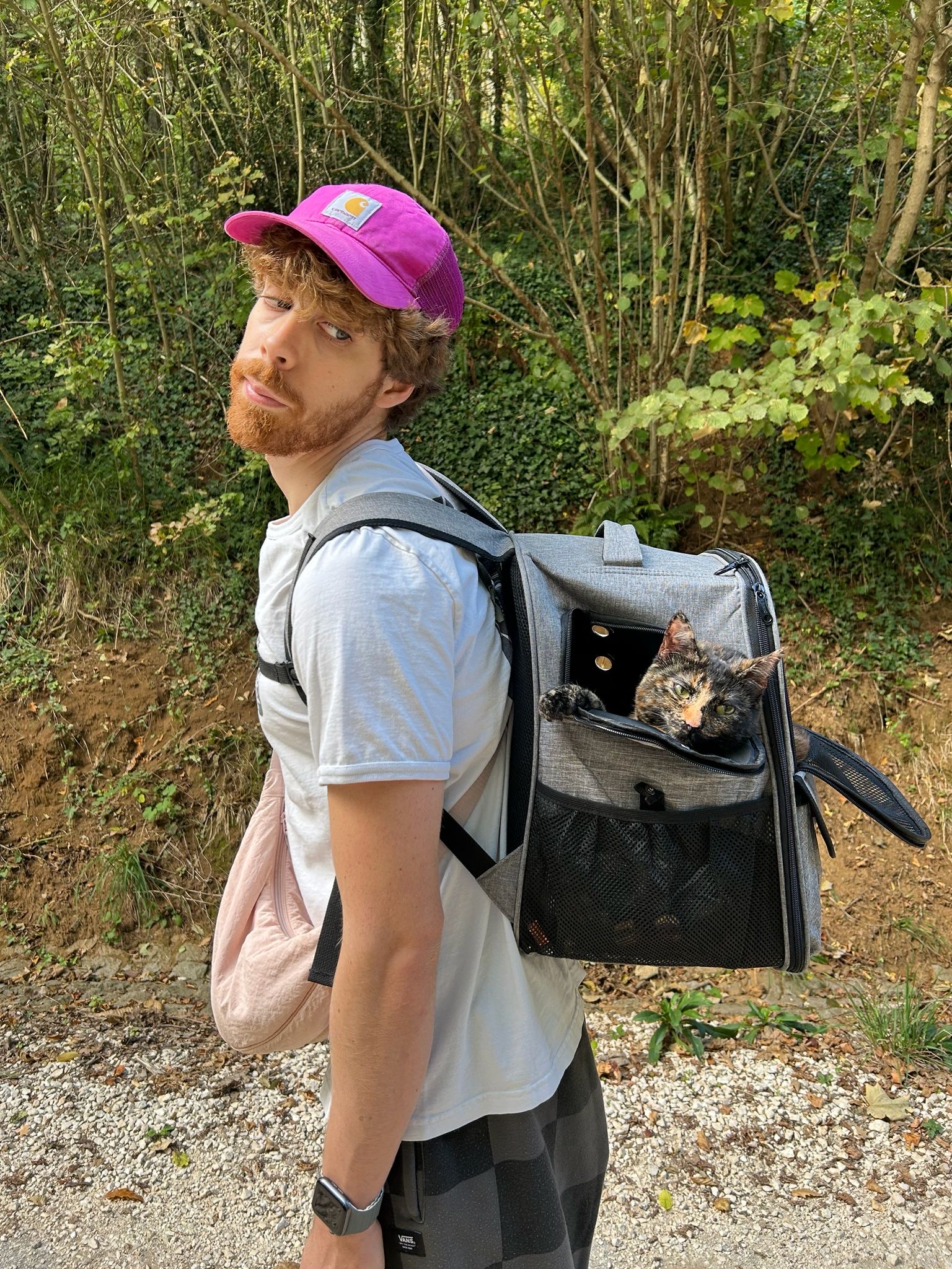image-4