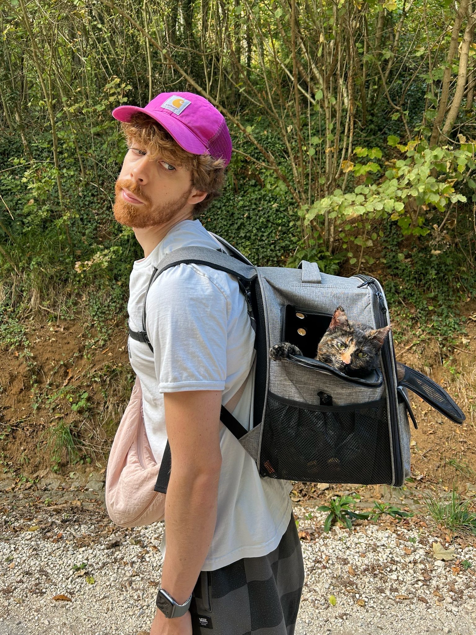 image-4