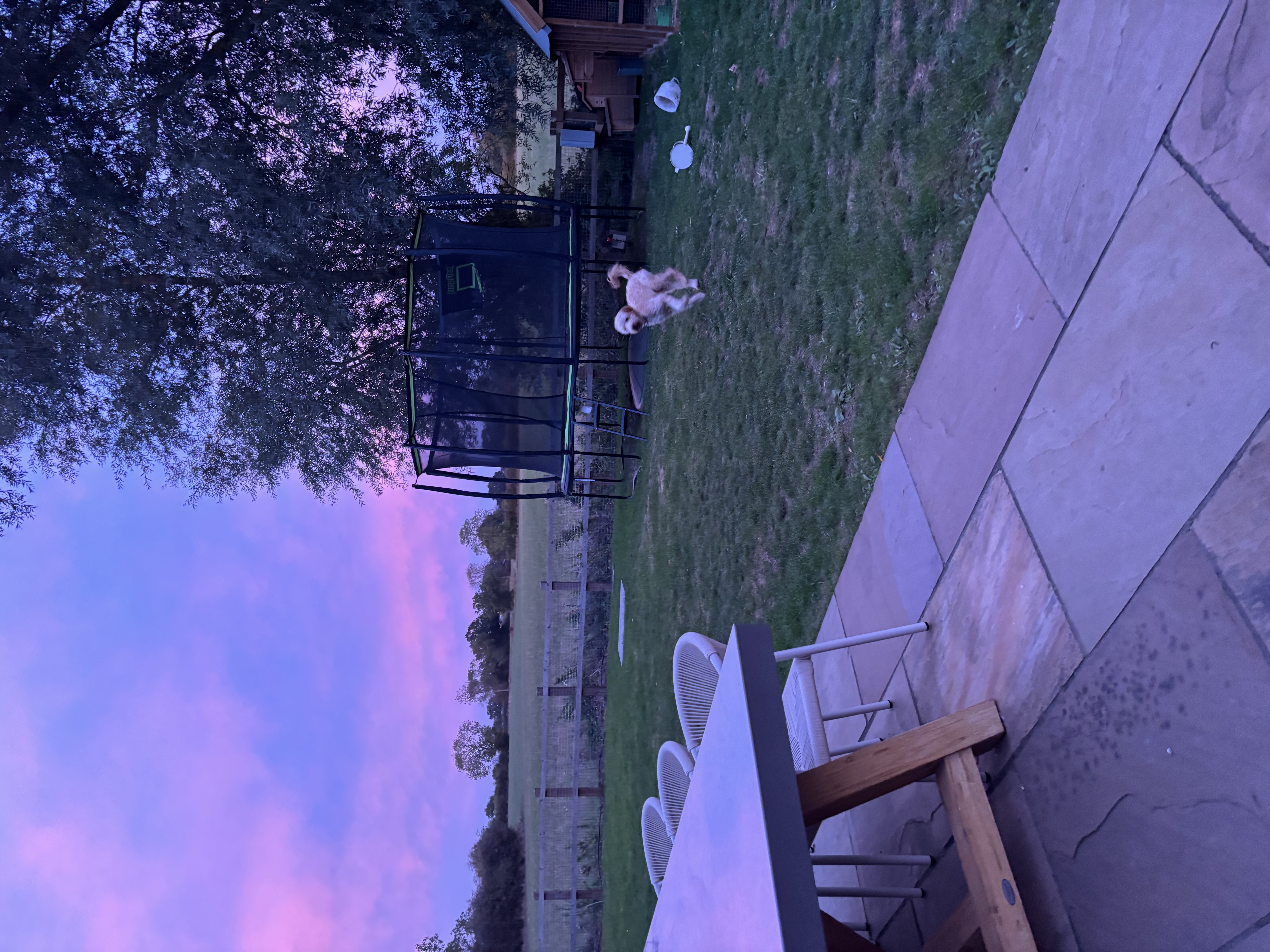 image-20
