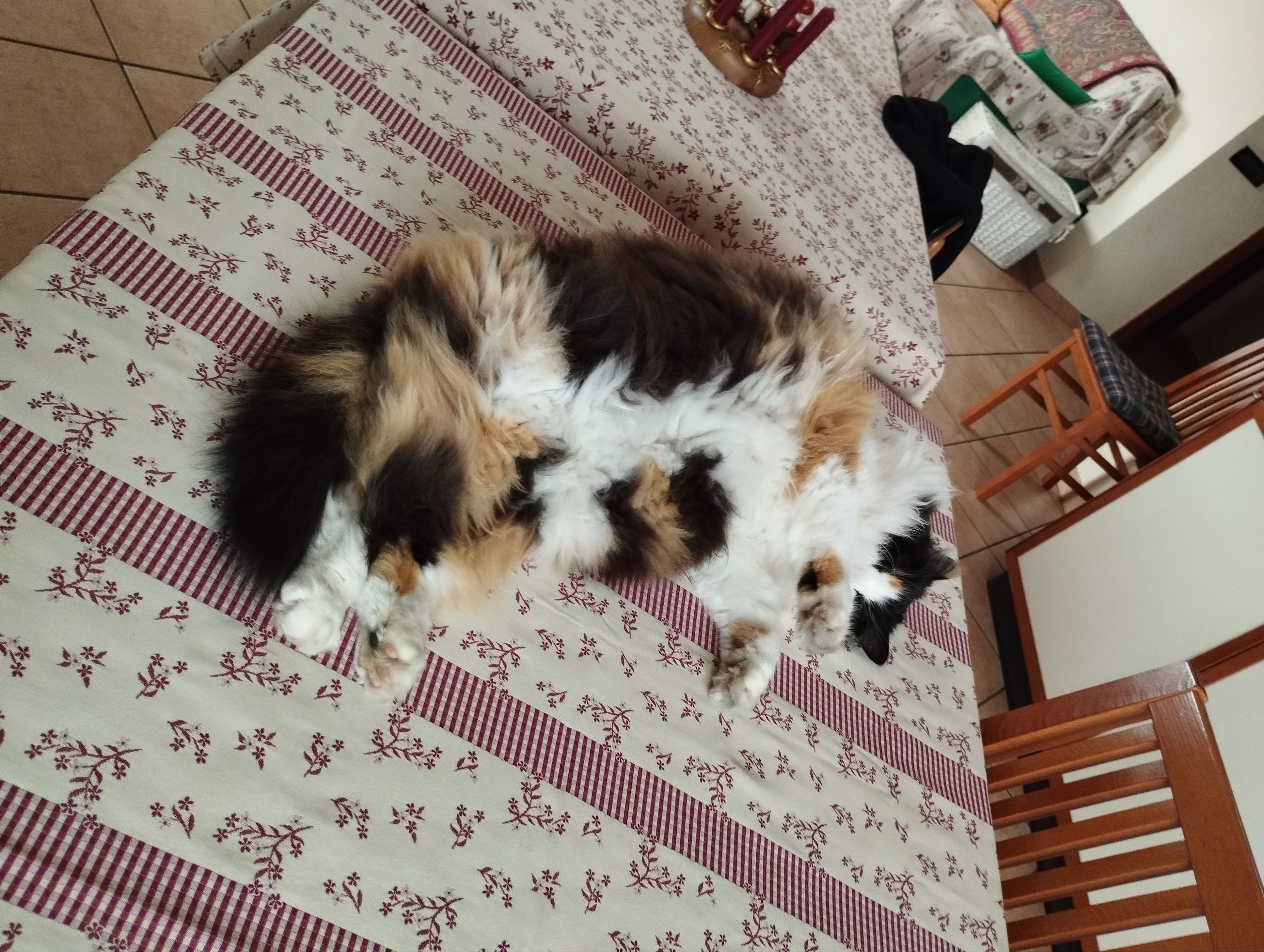 image-7
