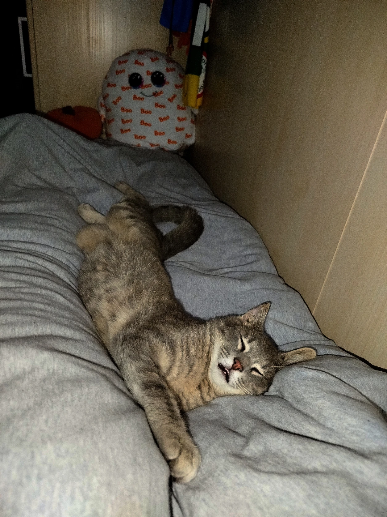 image-12