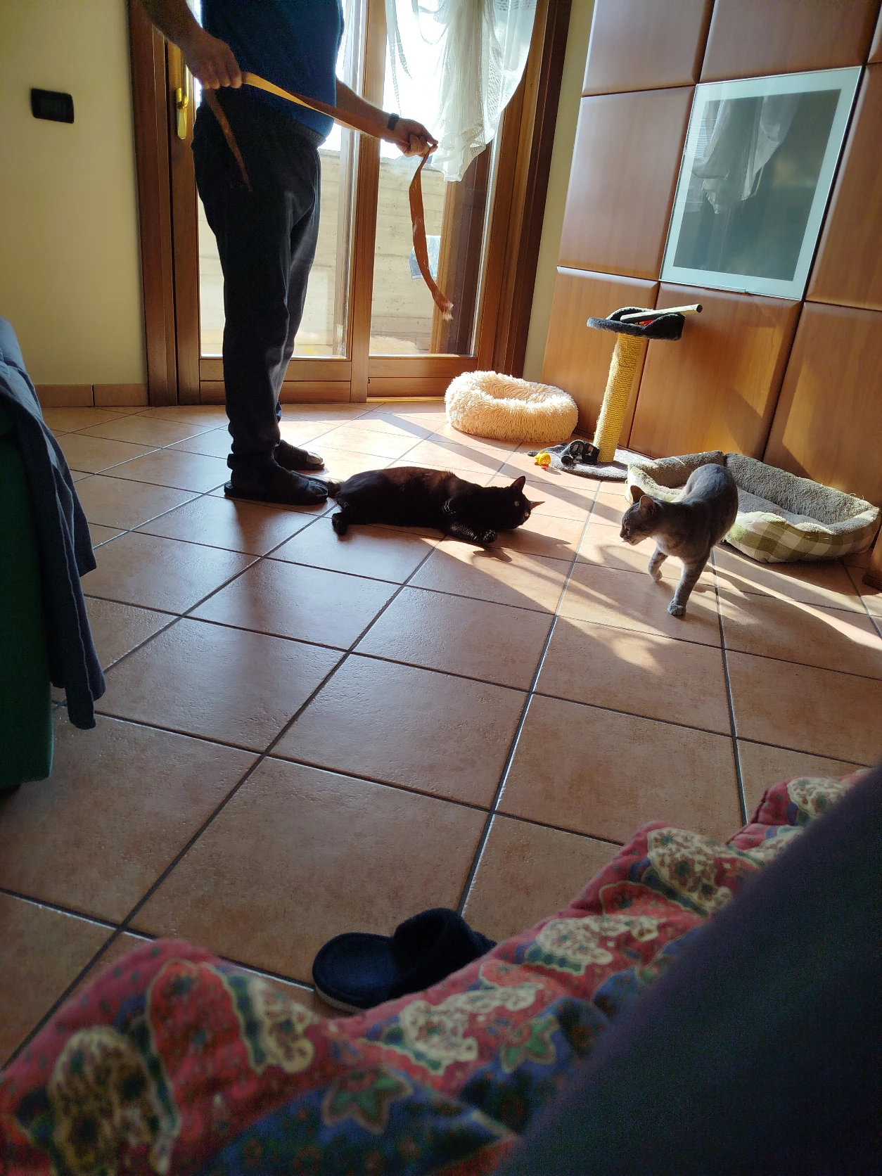 image-19