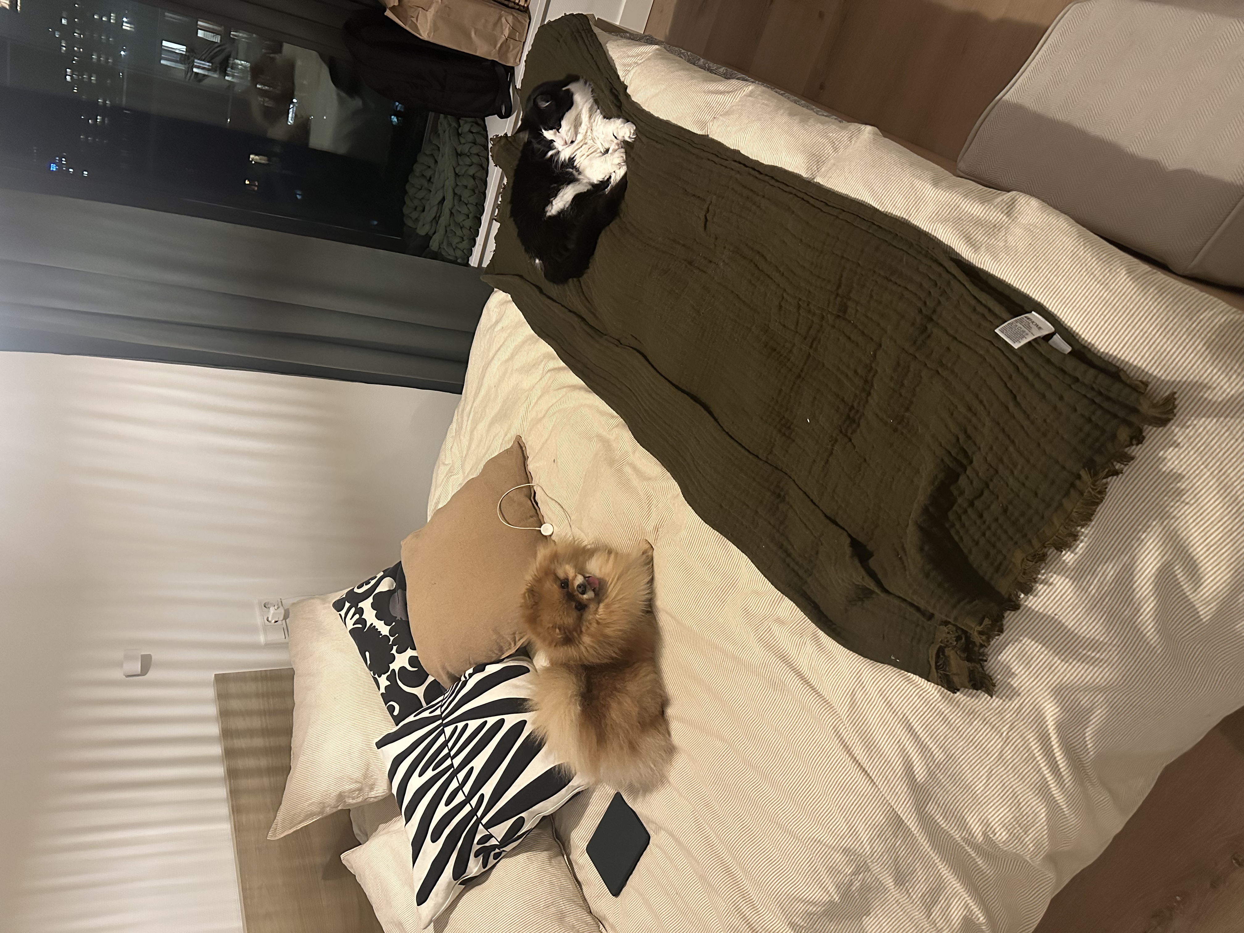 image-10