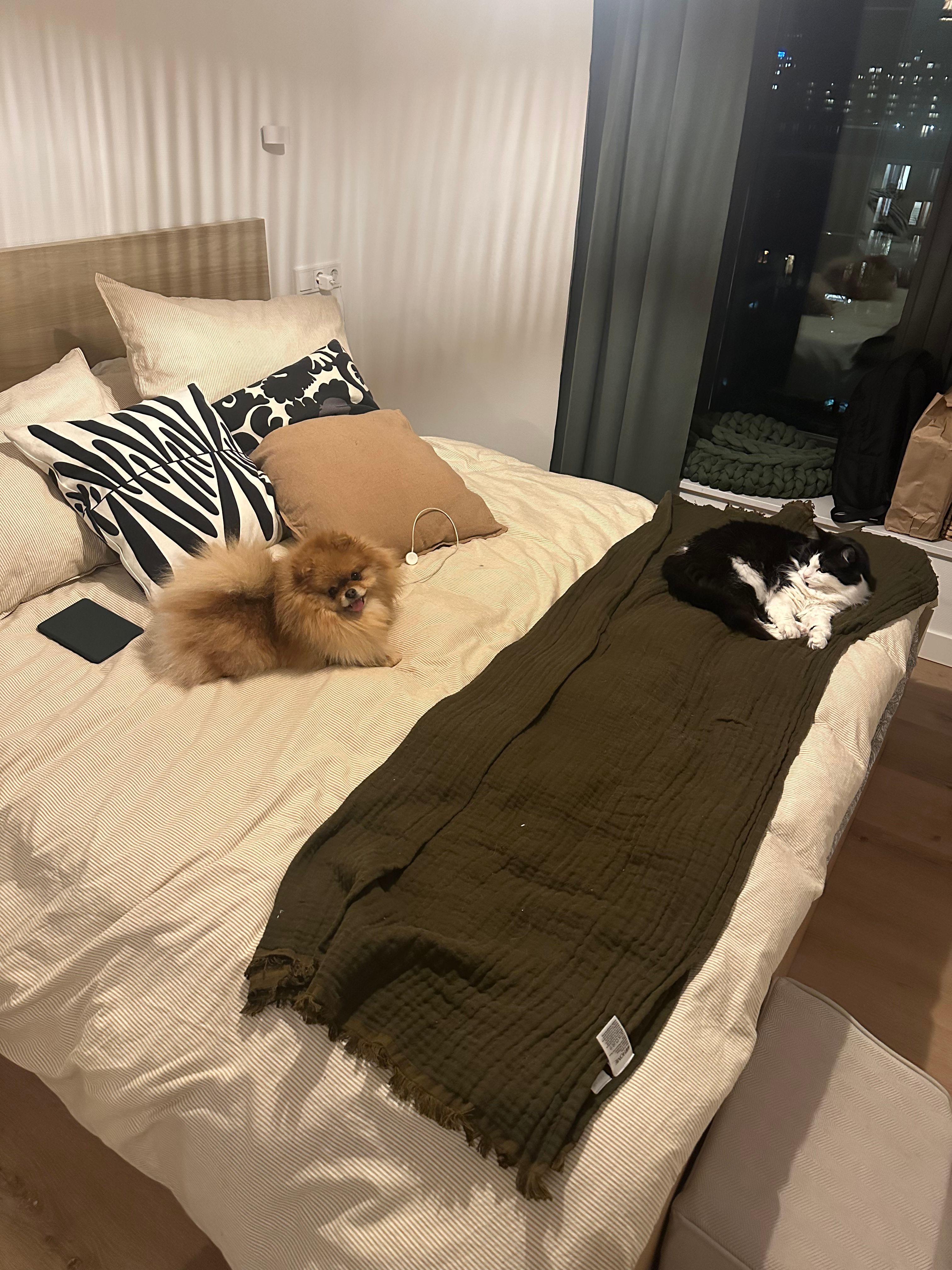 image-10