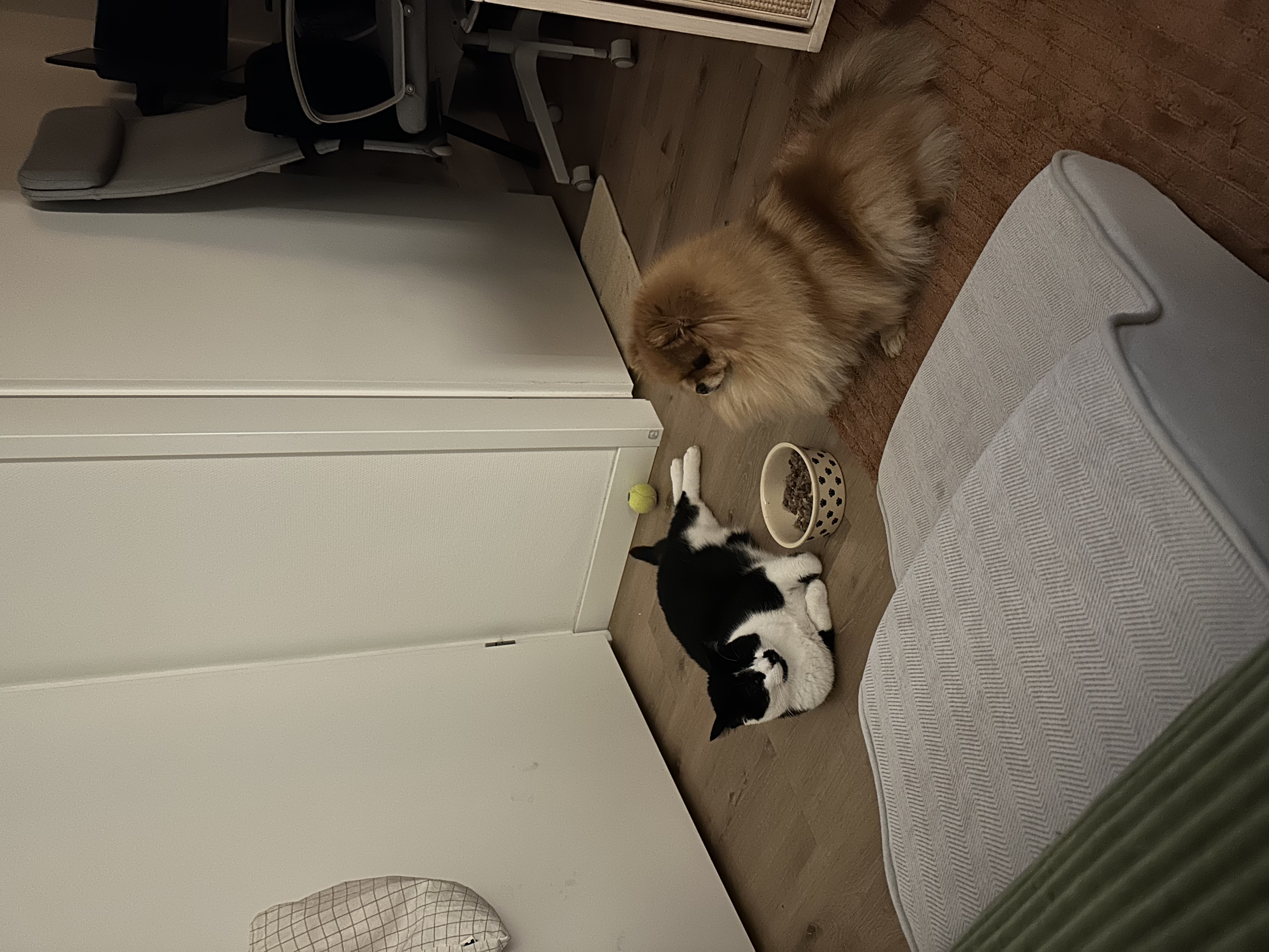 image-9
