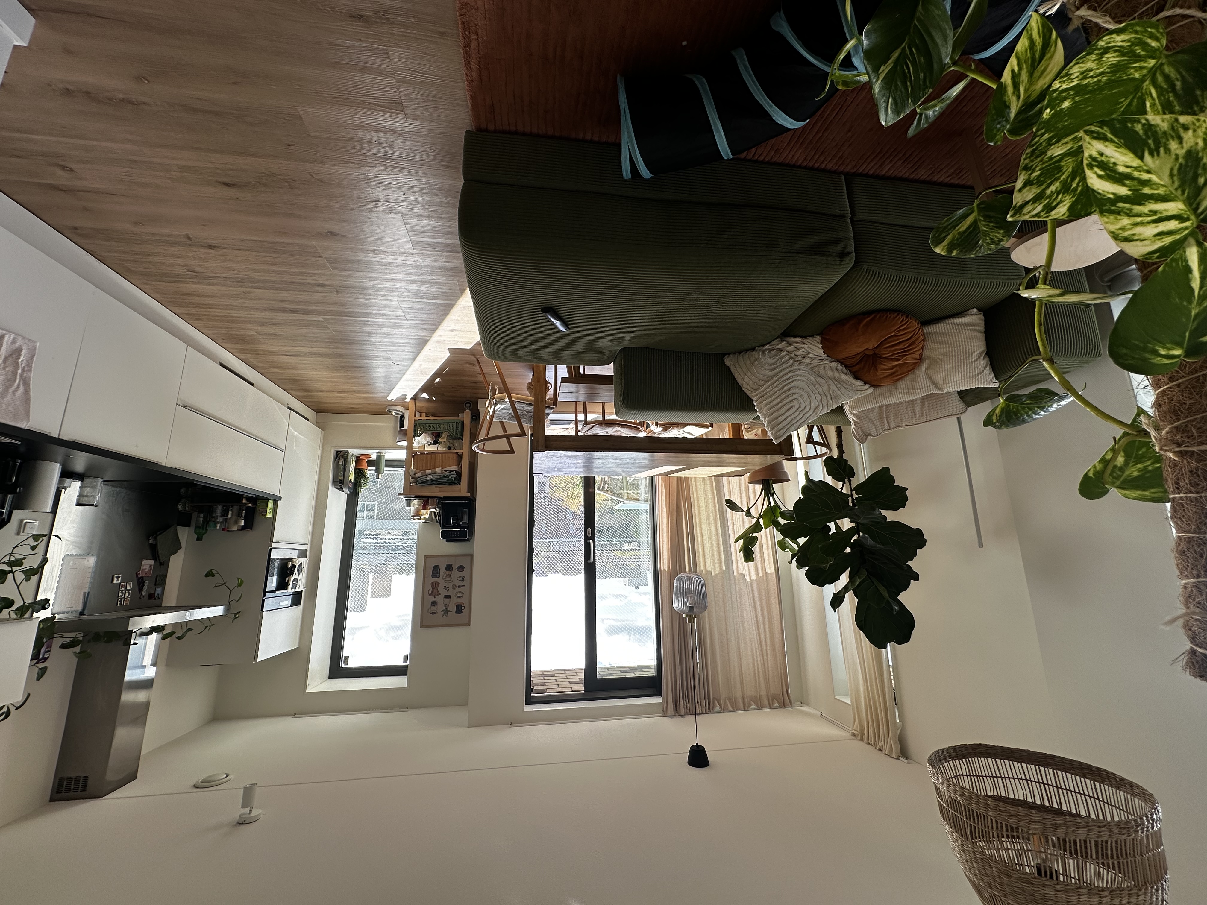 image-15