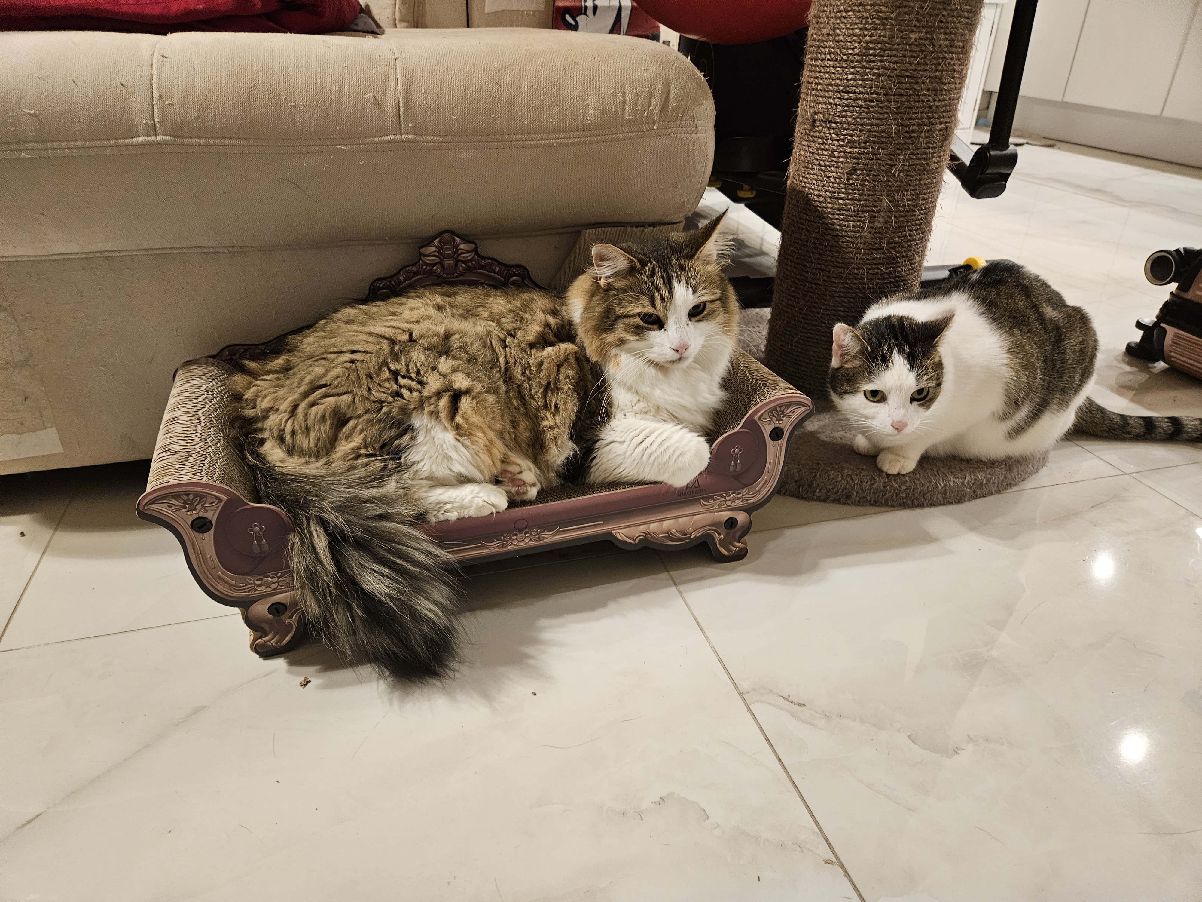 image-14