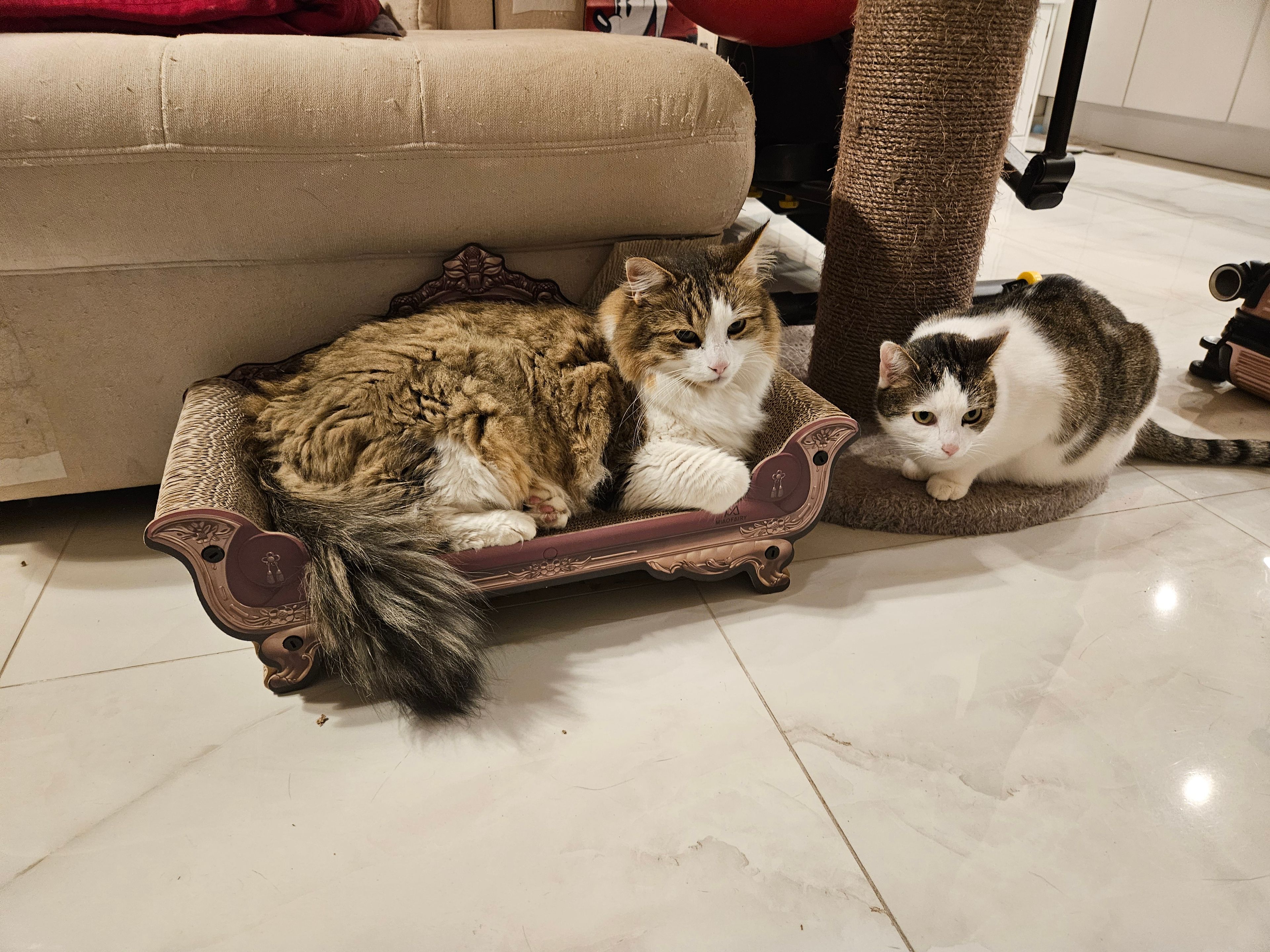 image-14
