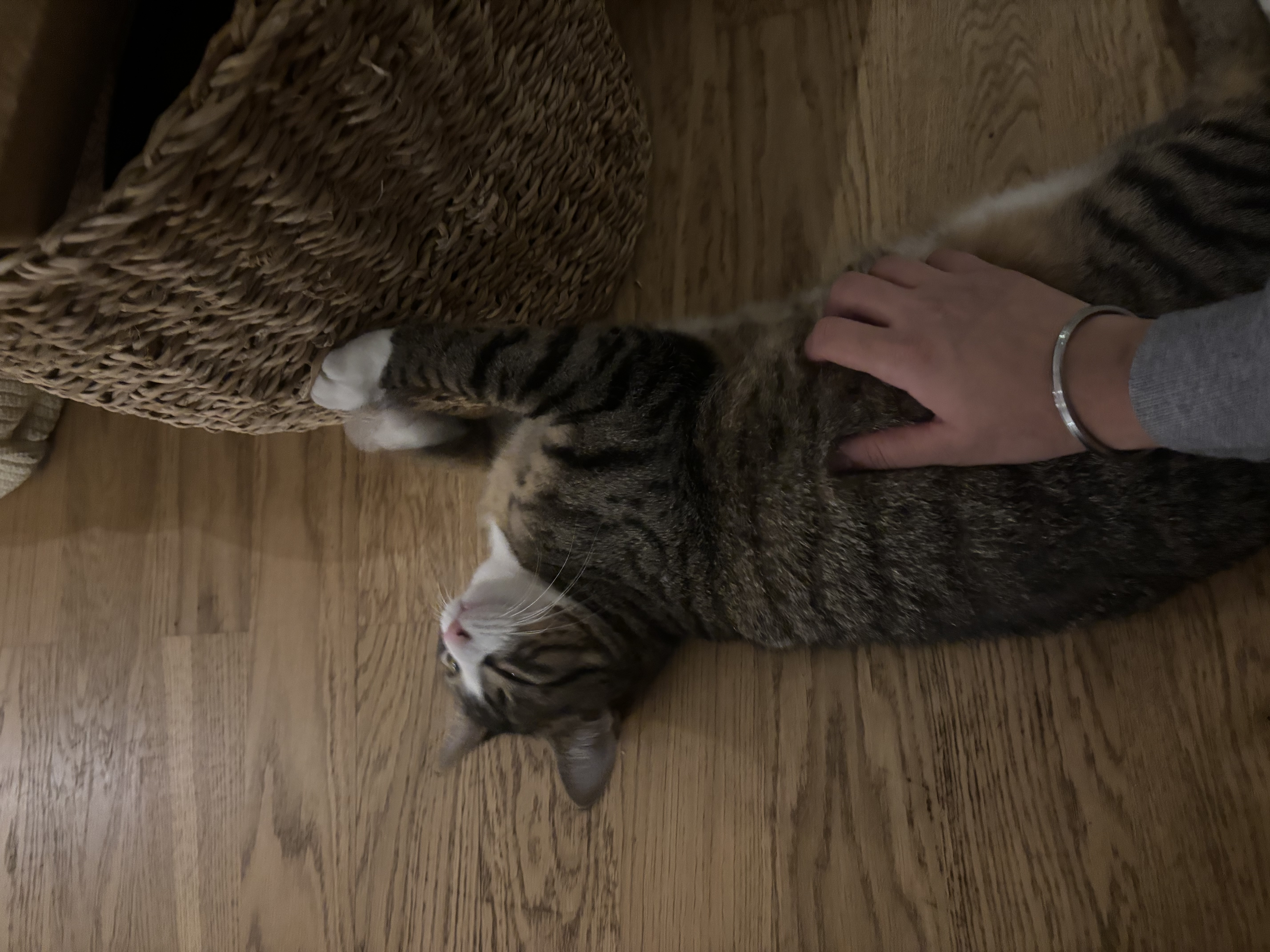 image-11
