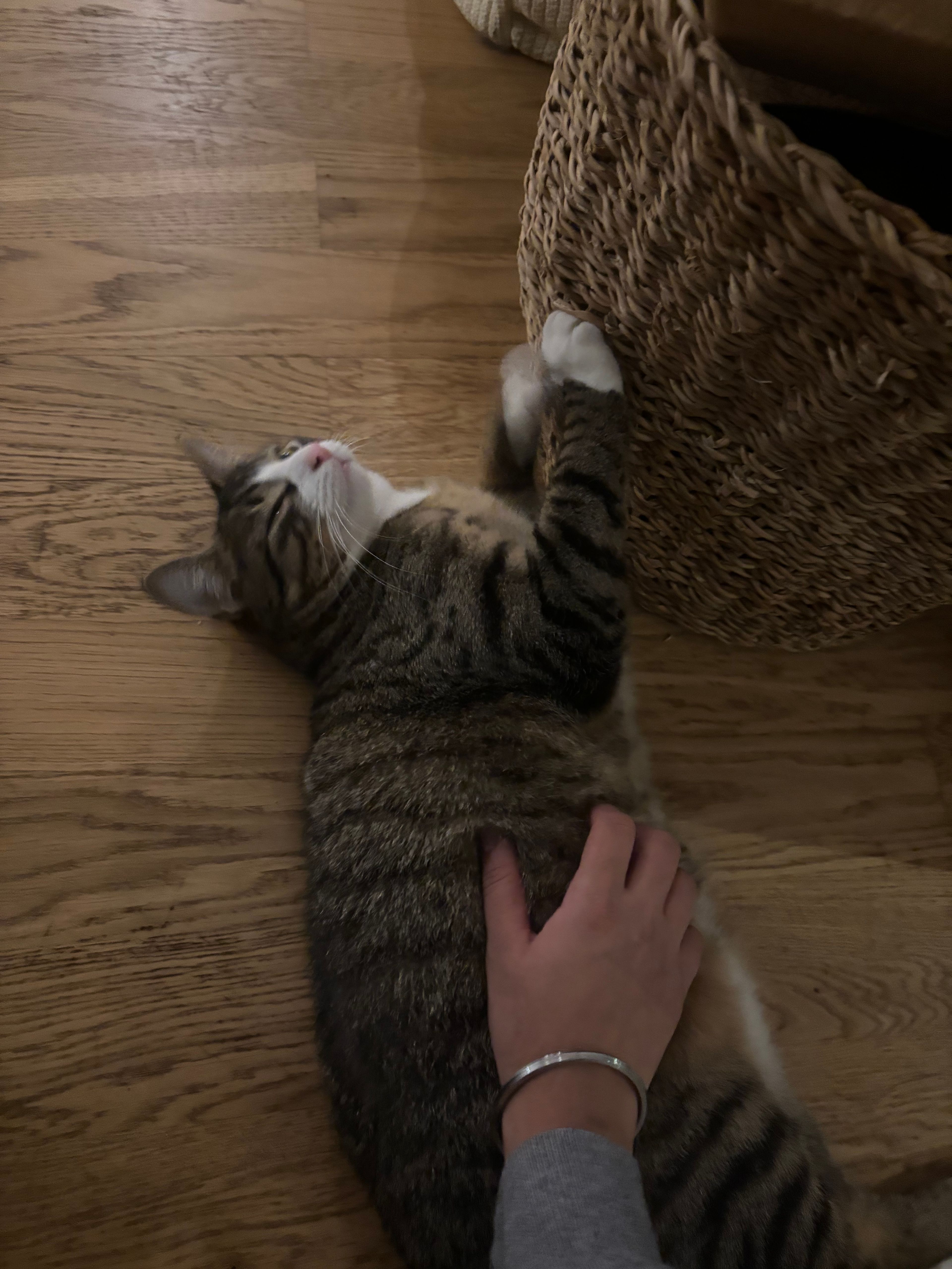 image-11