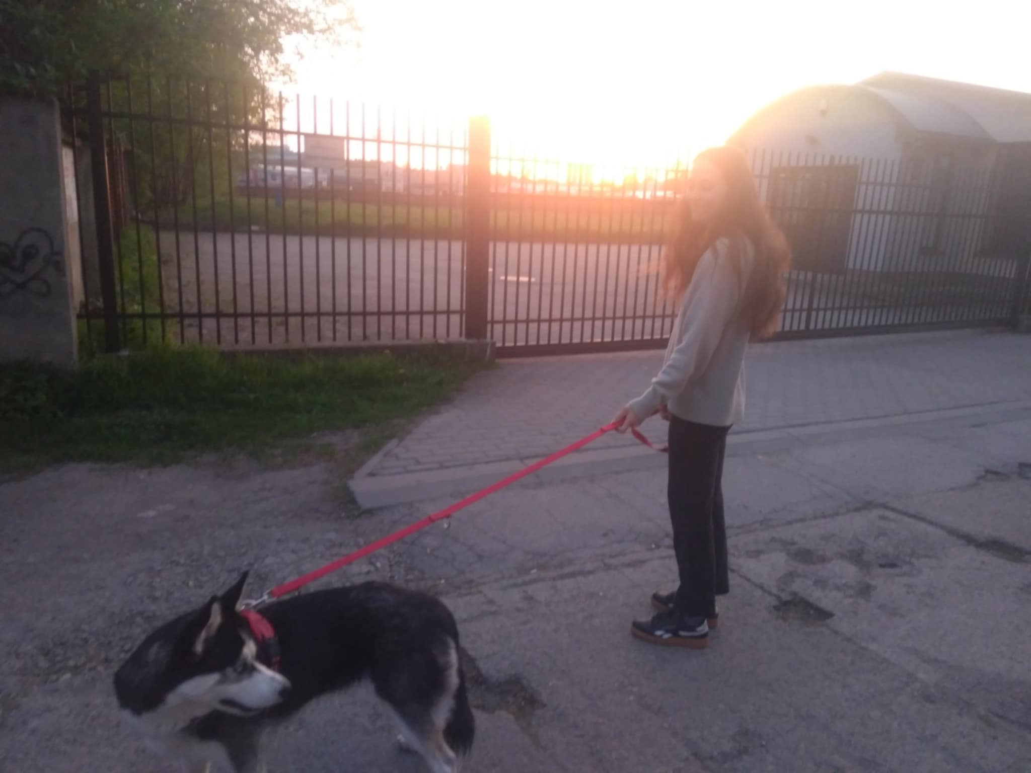 image-9