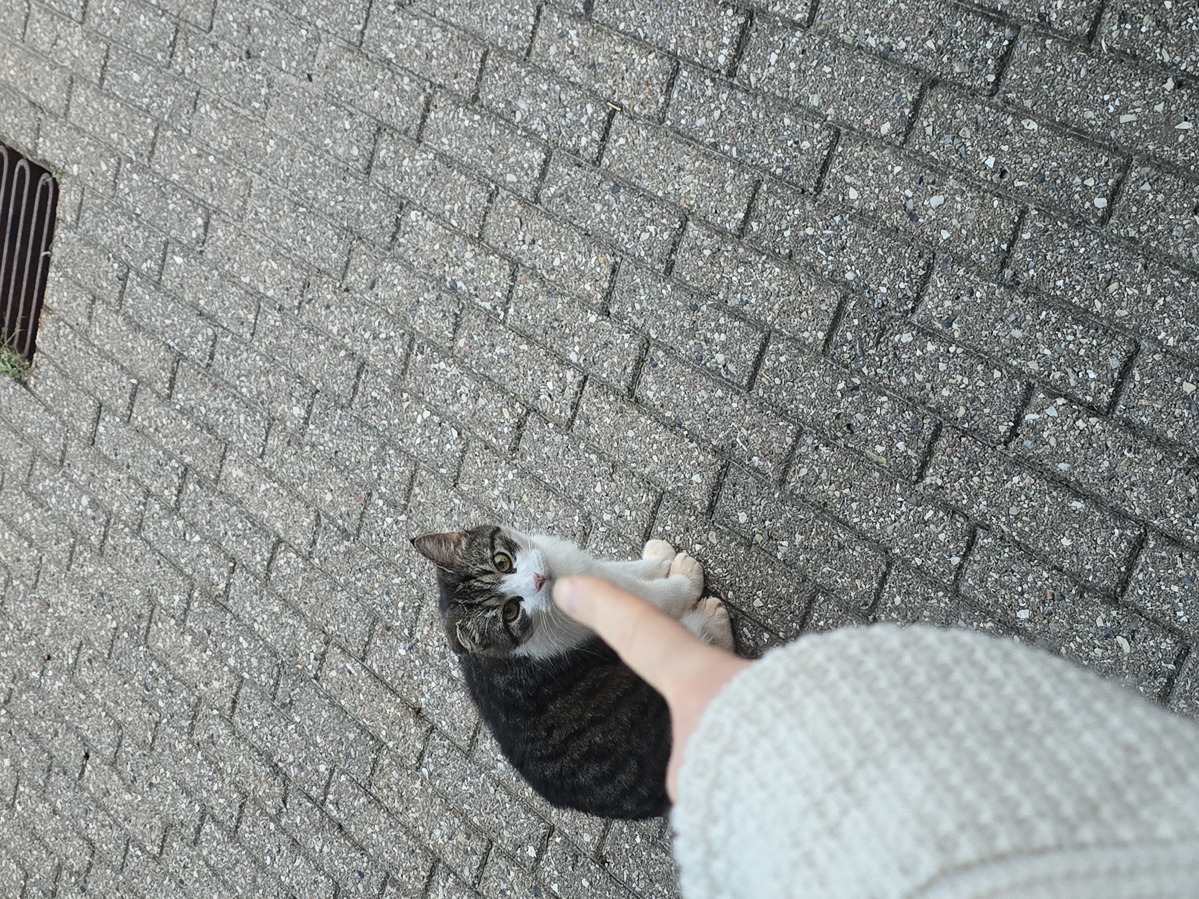 image-9