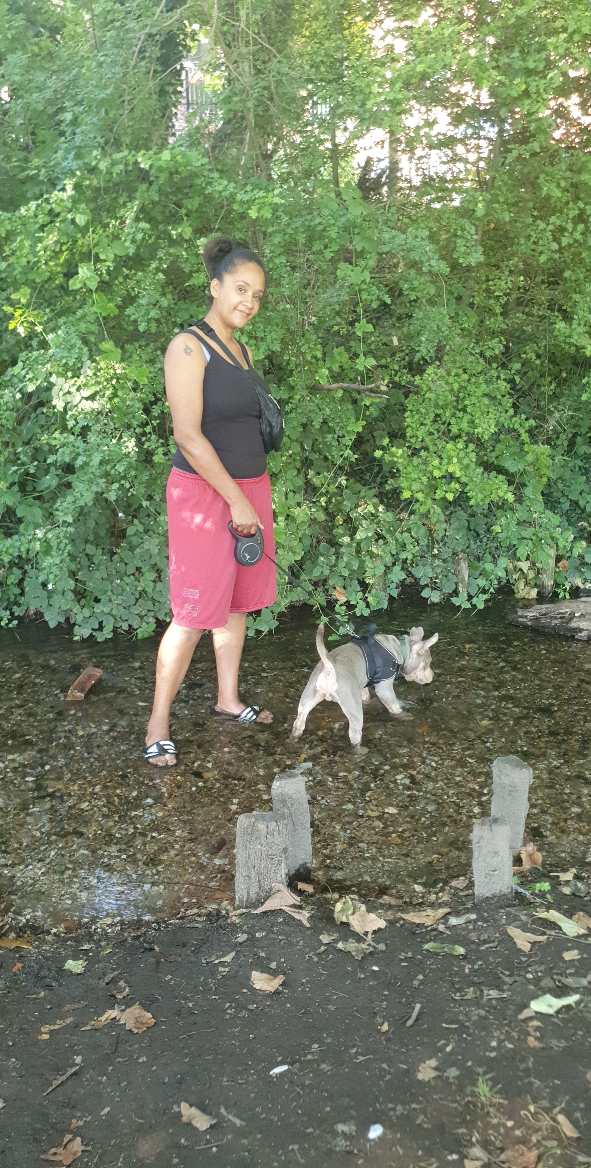 image-5