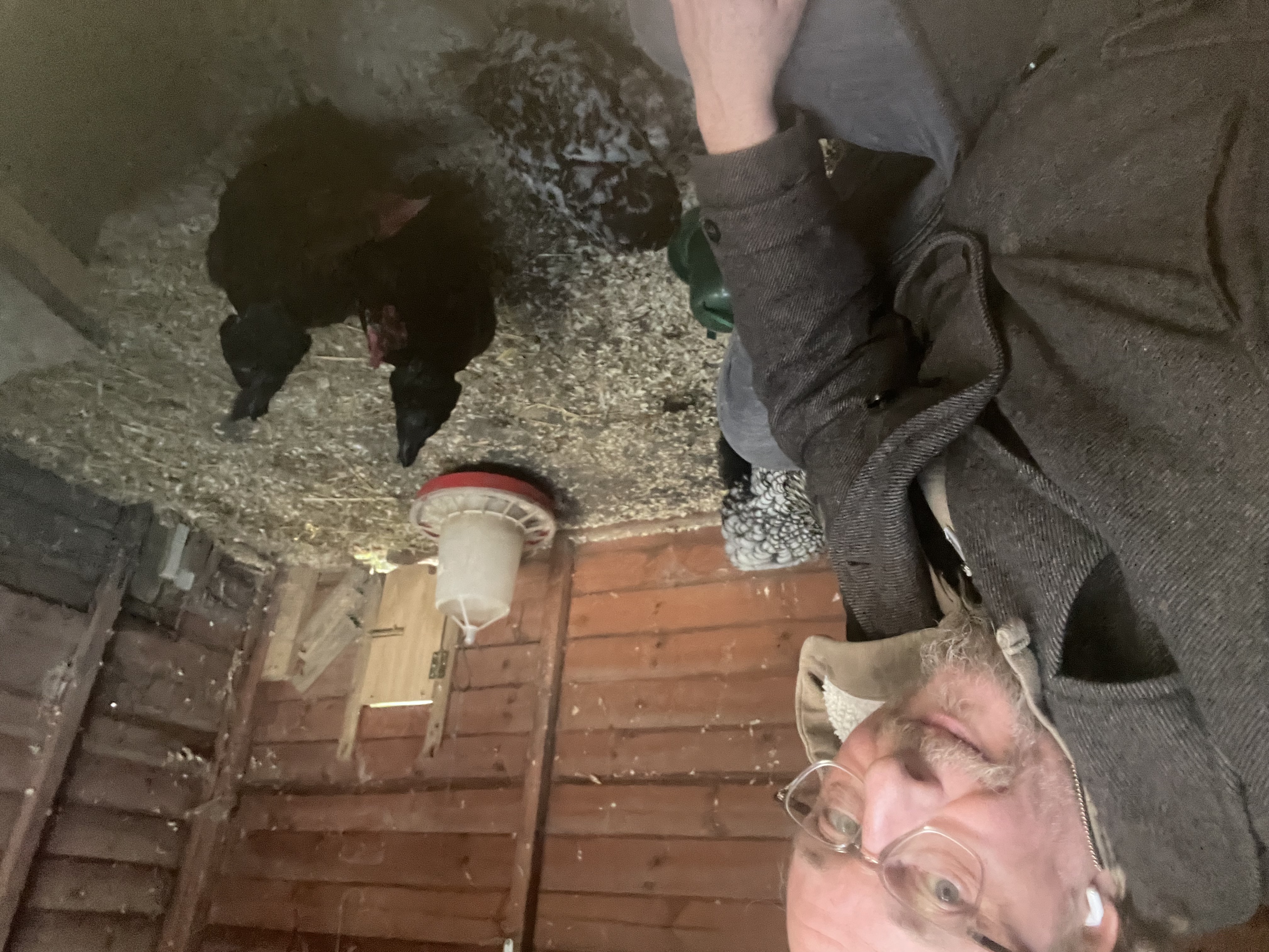 image-10