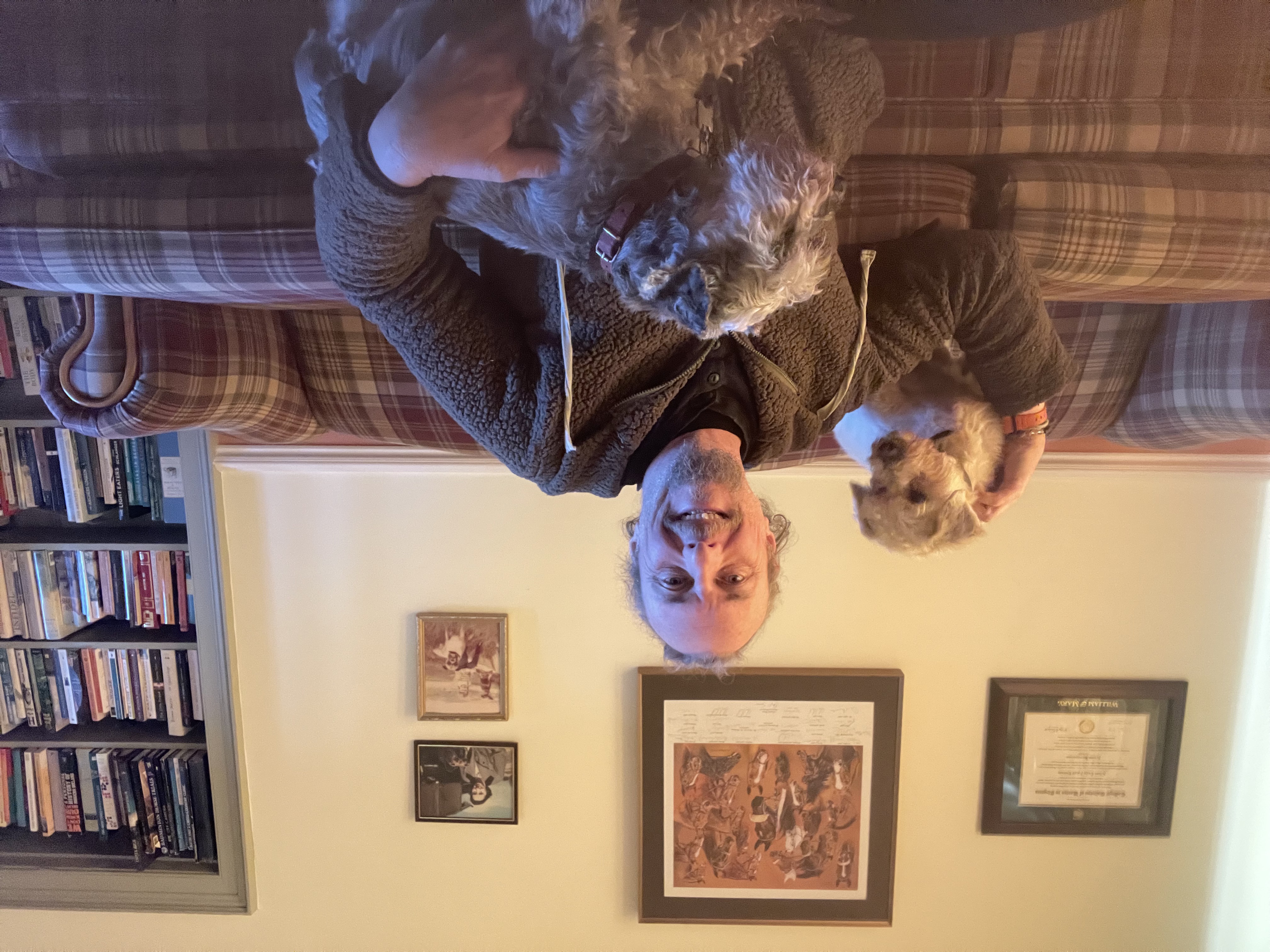 image-9