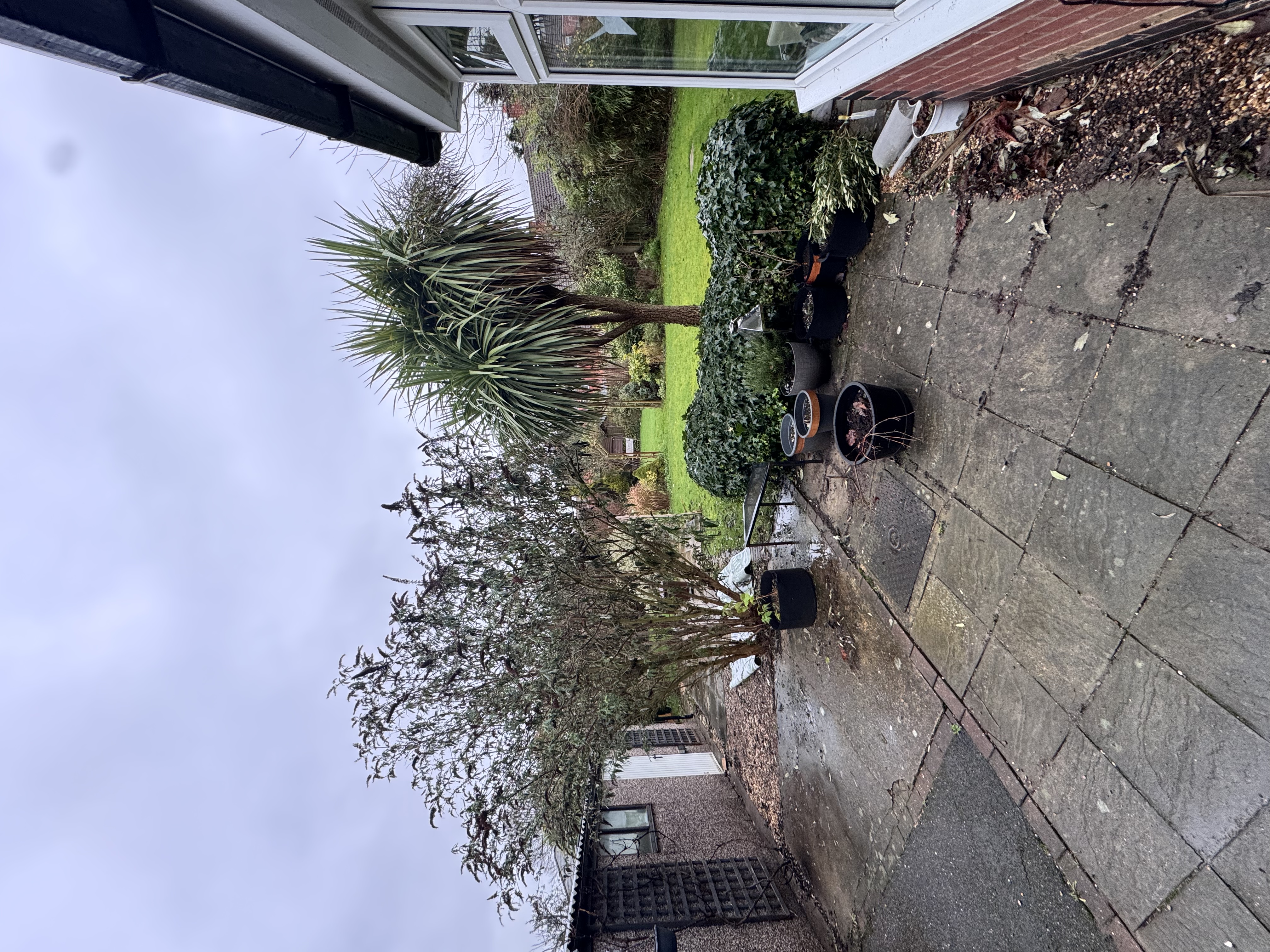 image-14