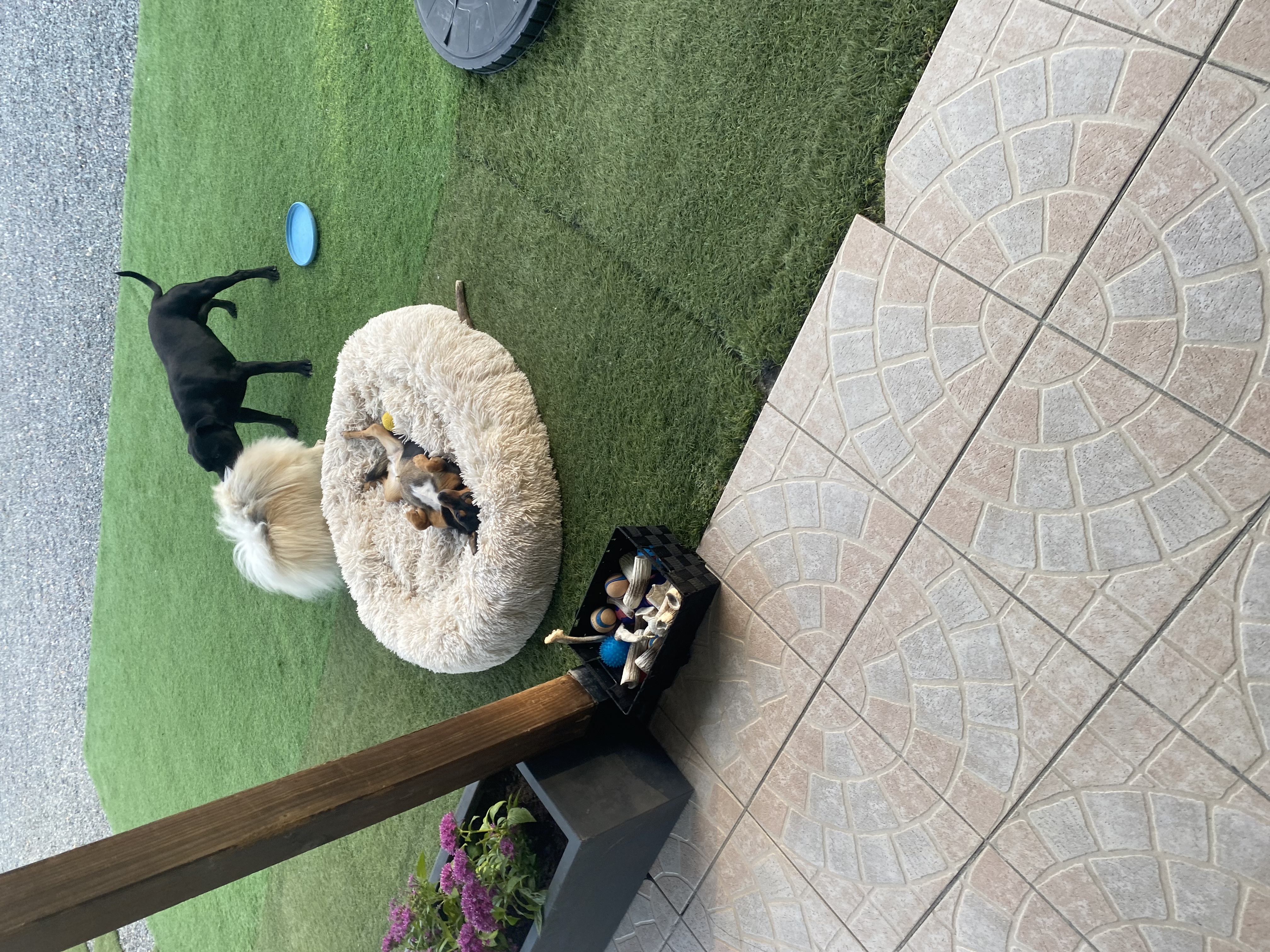 image-14