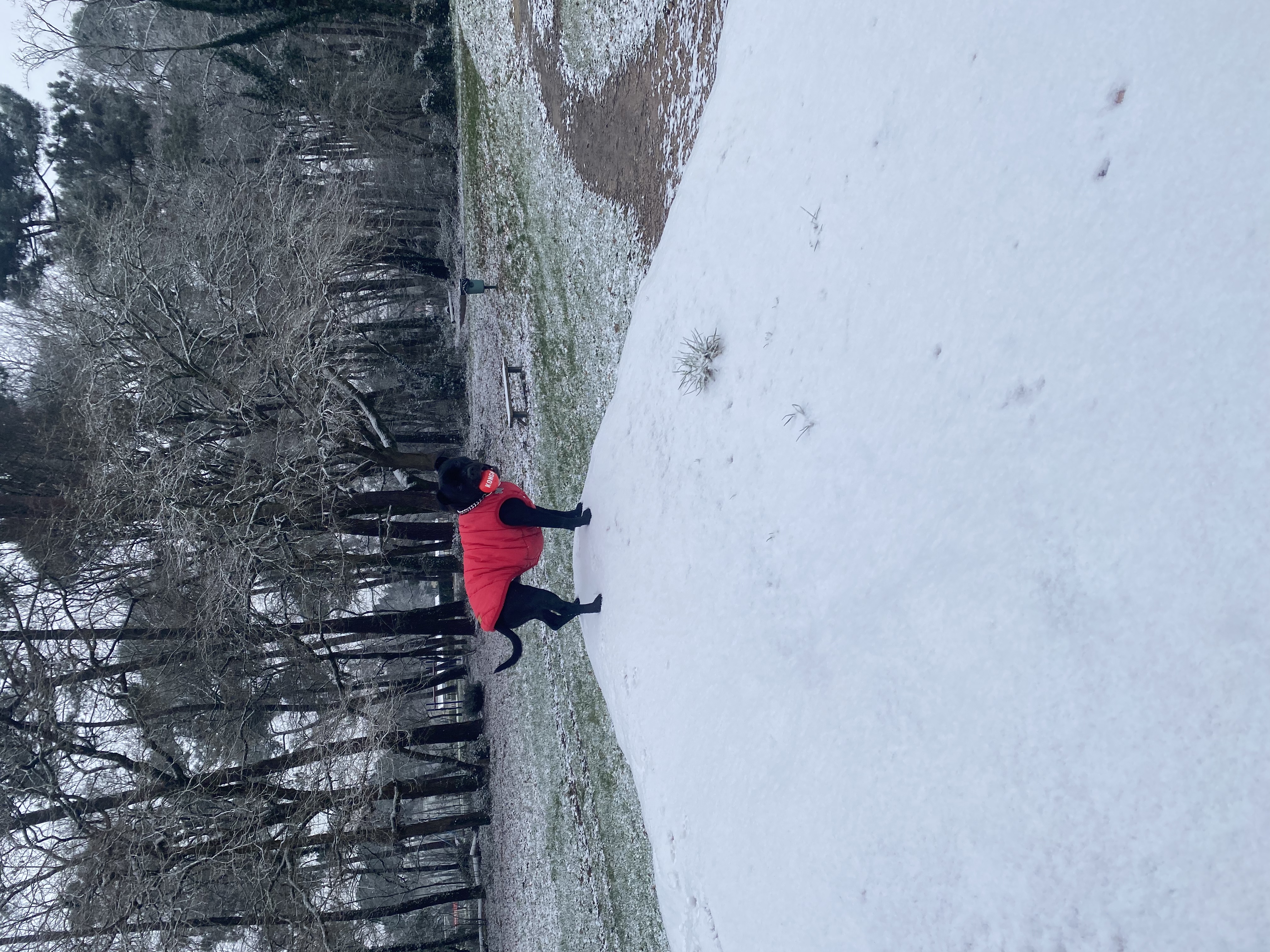 image-12
