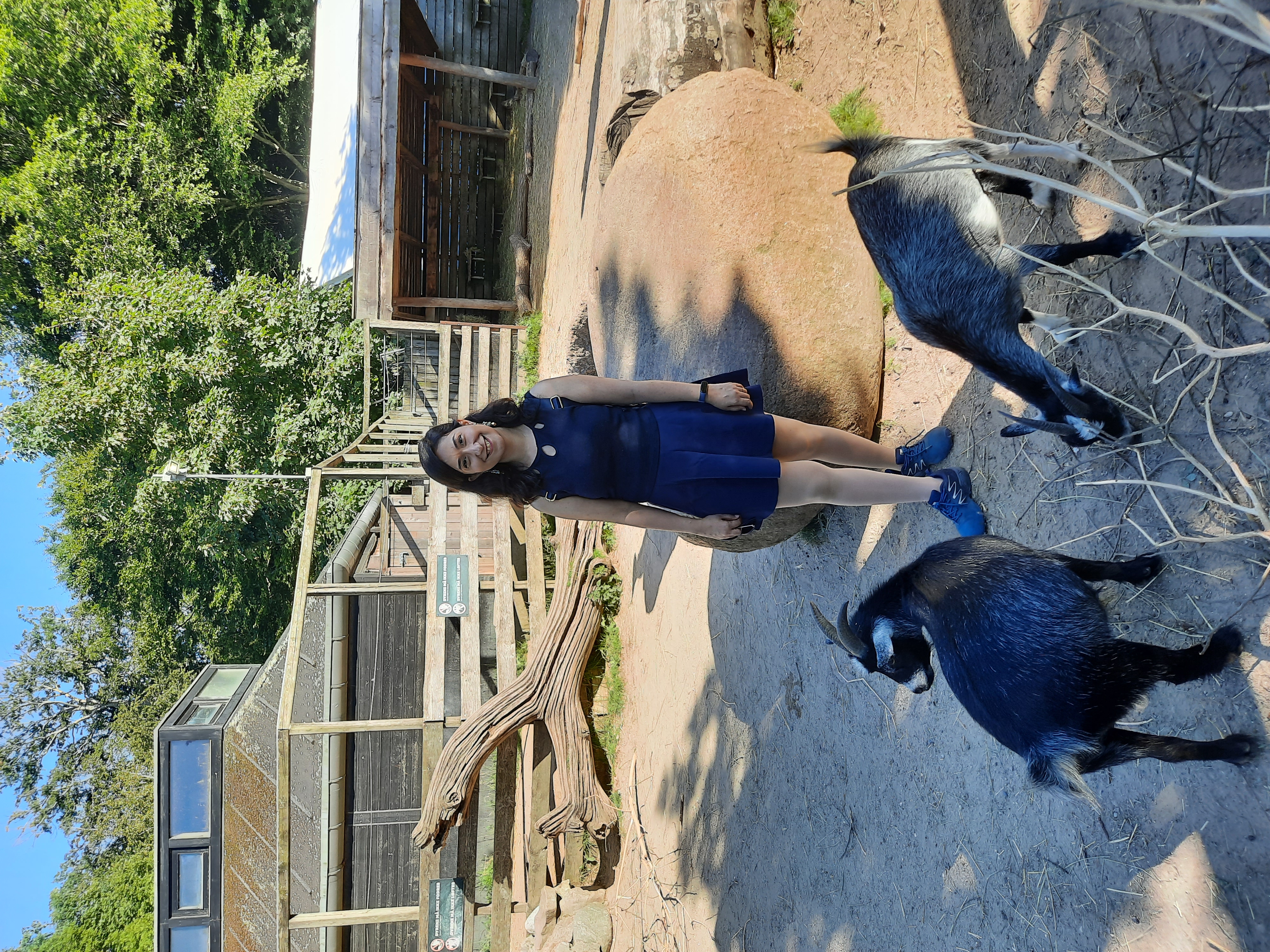 image-2