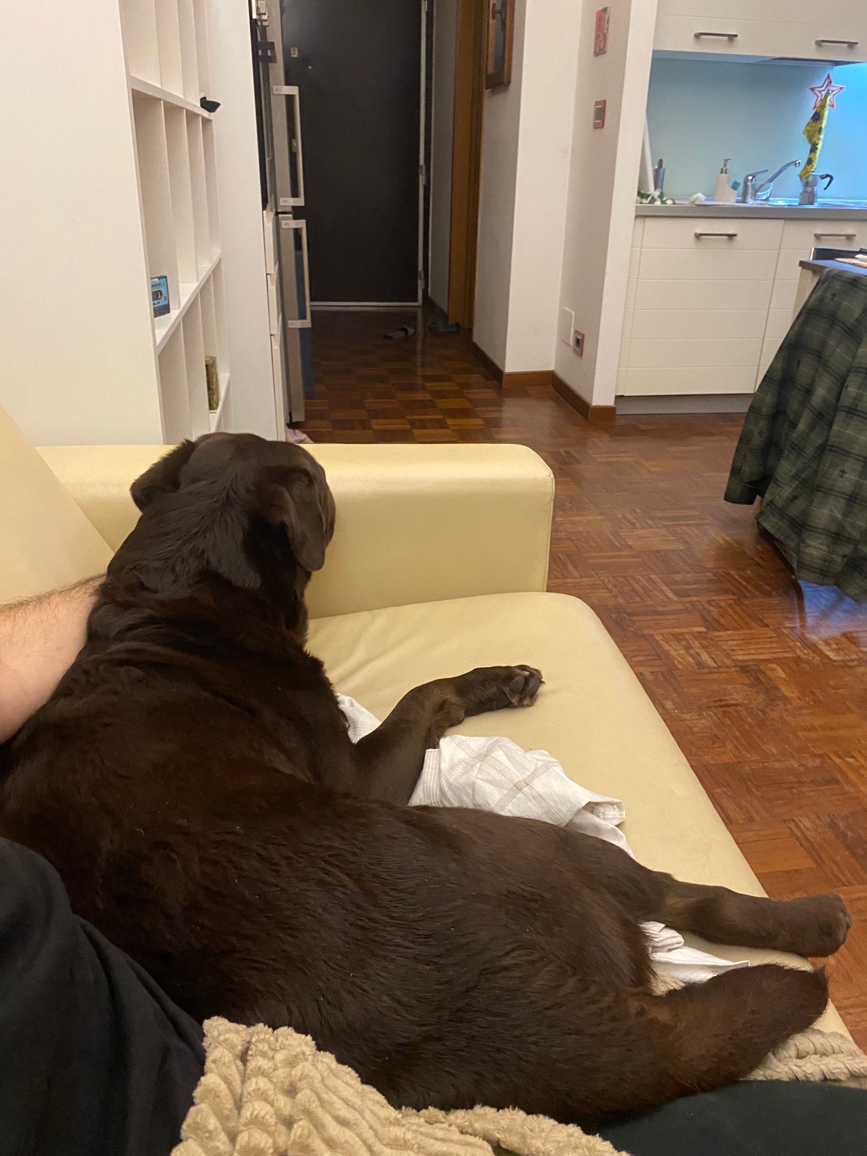 image-12