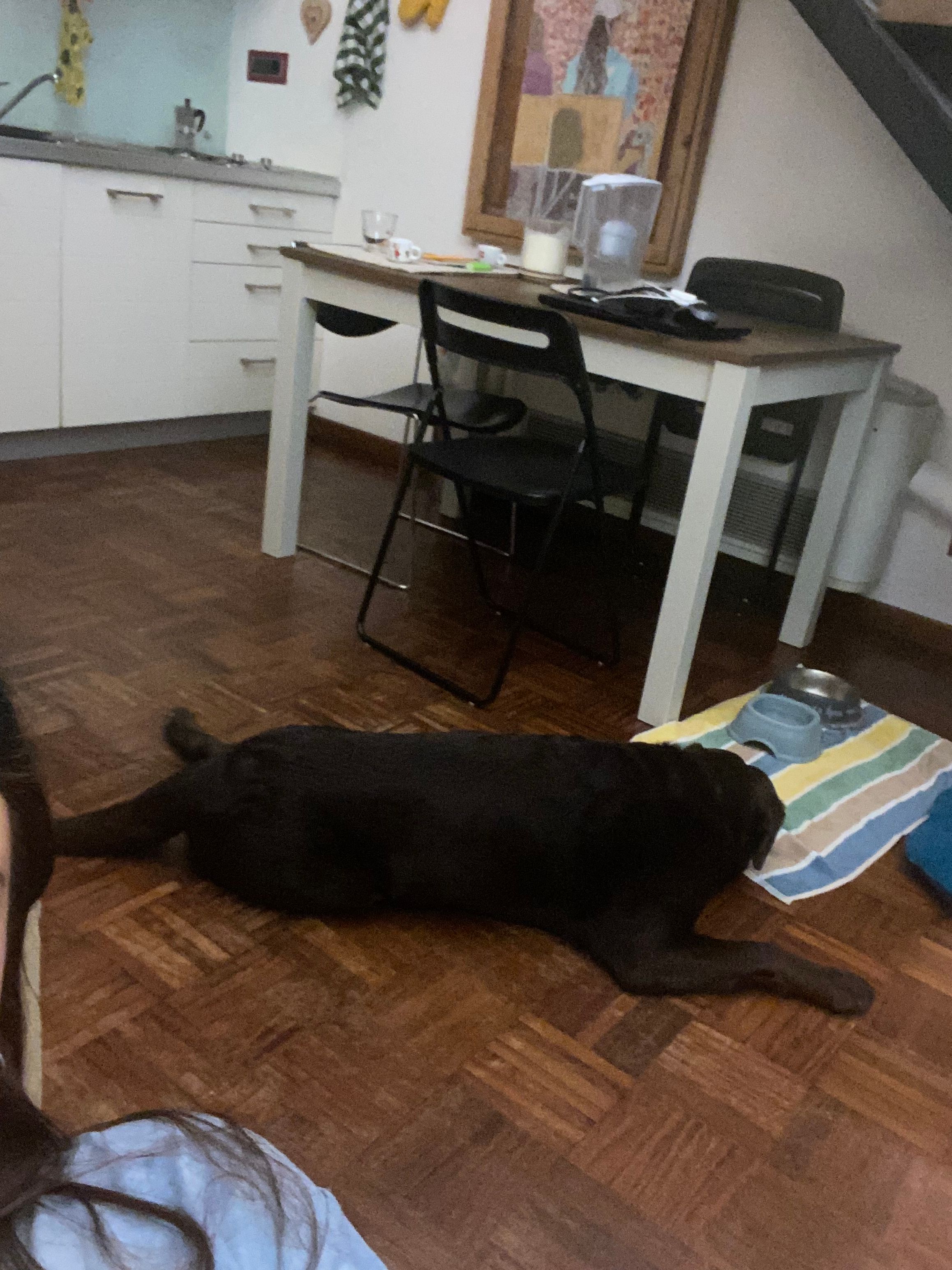 image-14