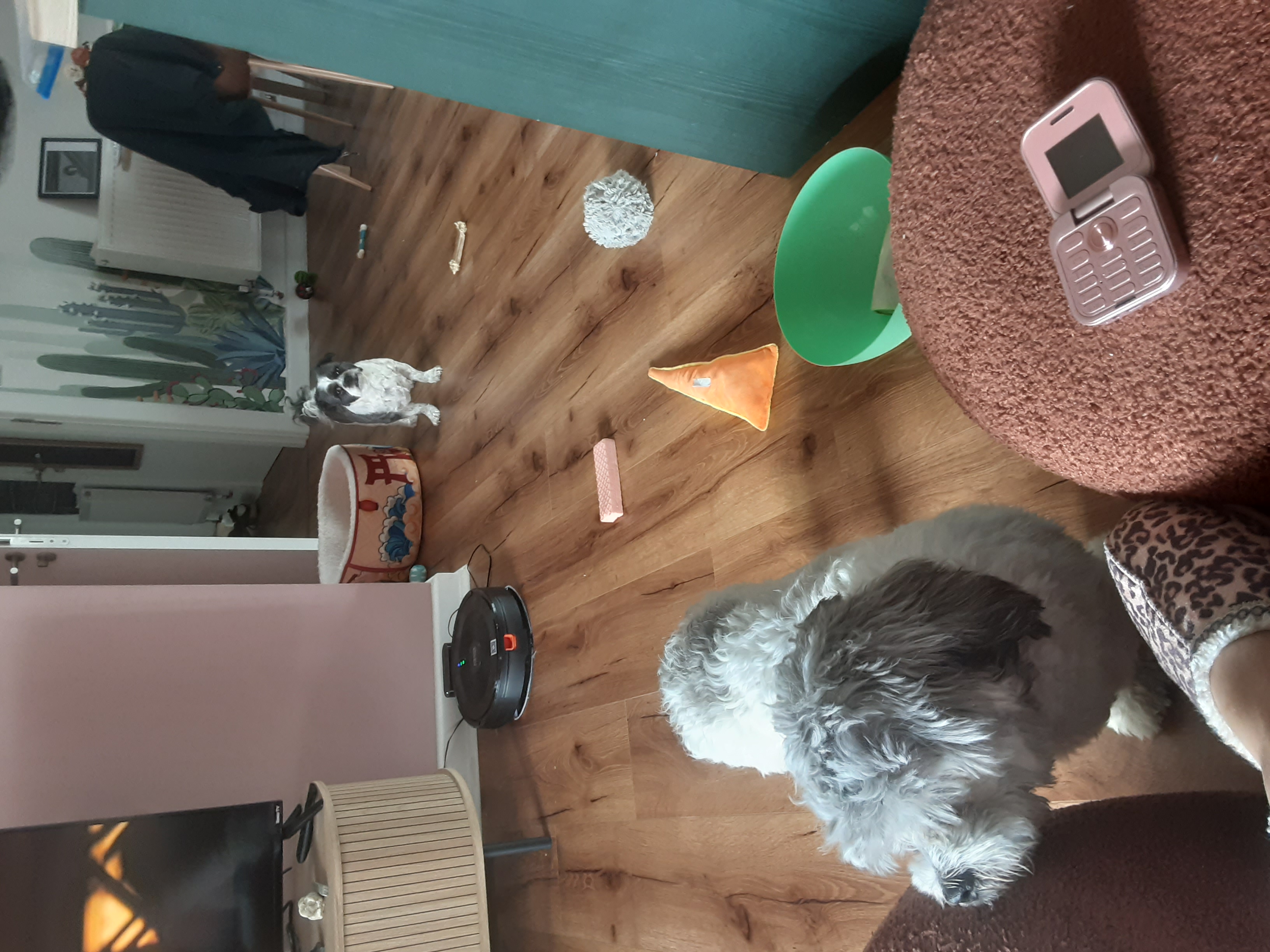 image-2
