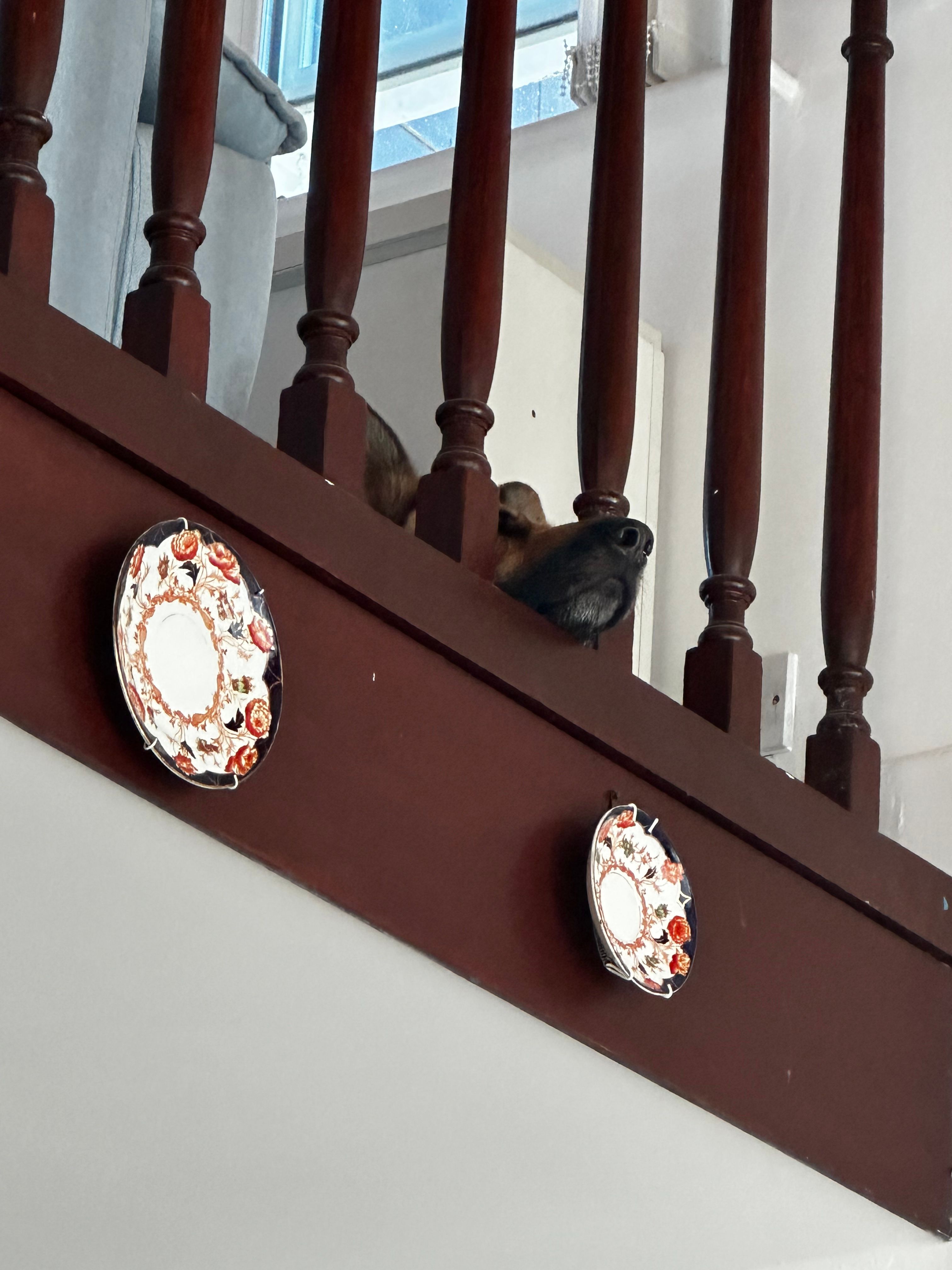 image-19
