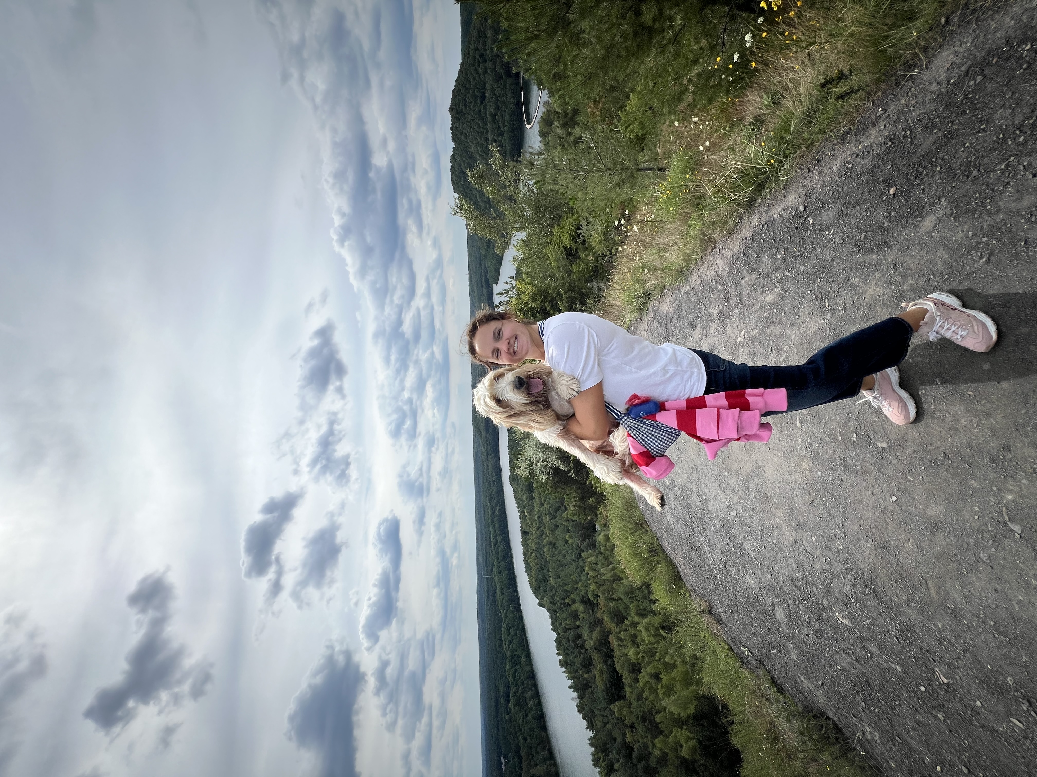 image-7