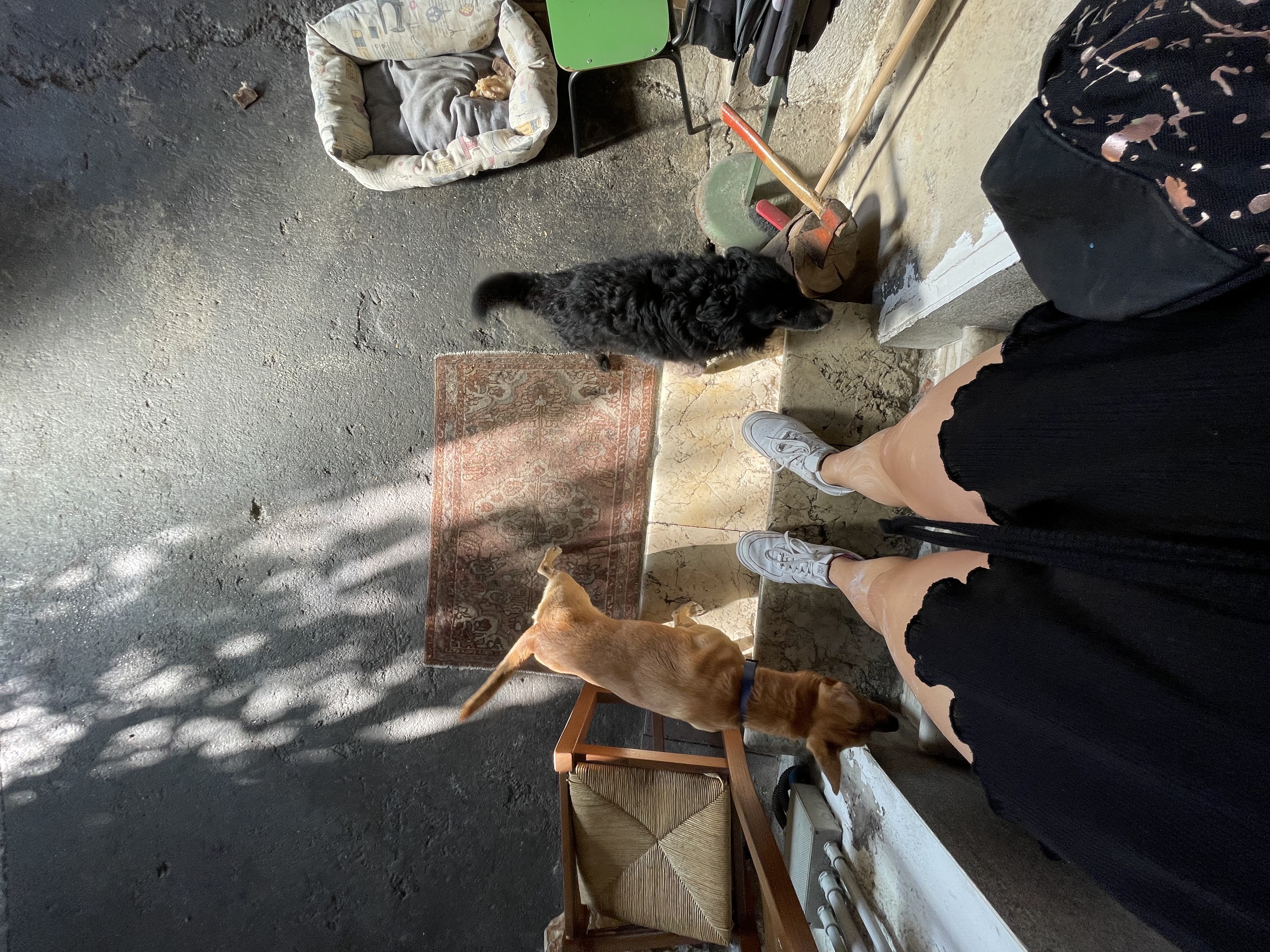 image-11