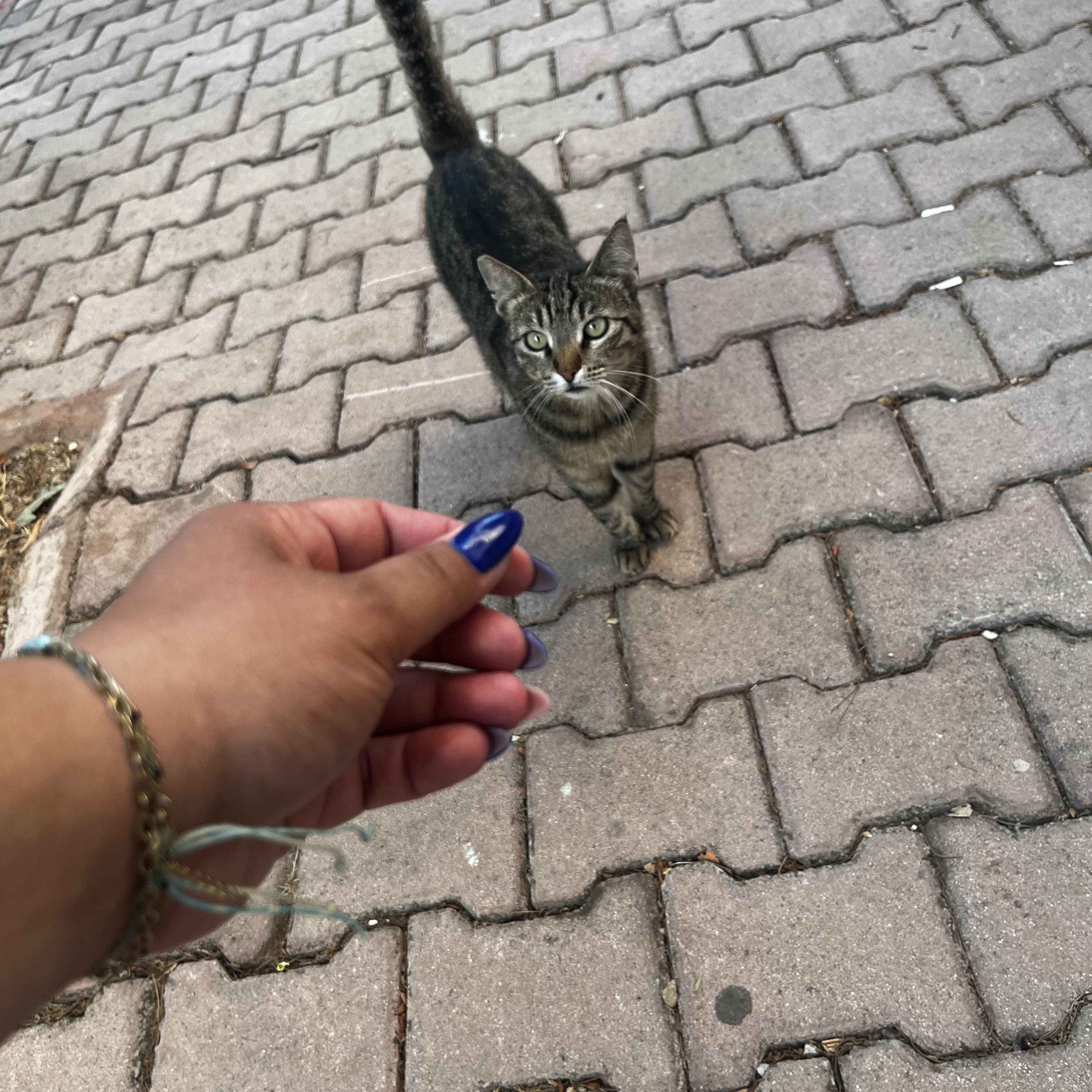 image-18
