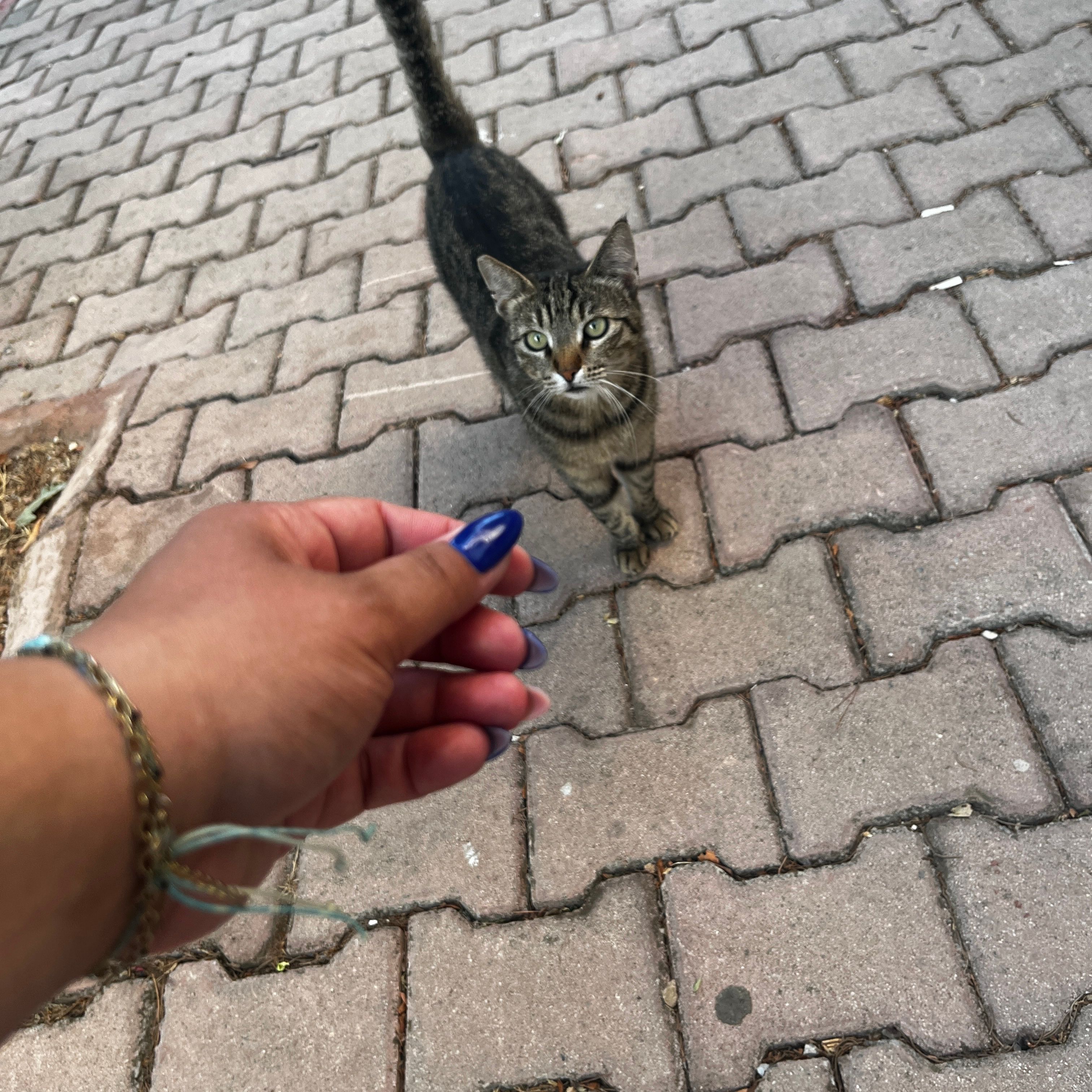 image-18