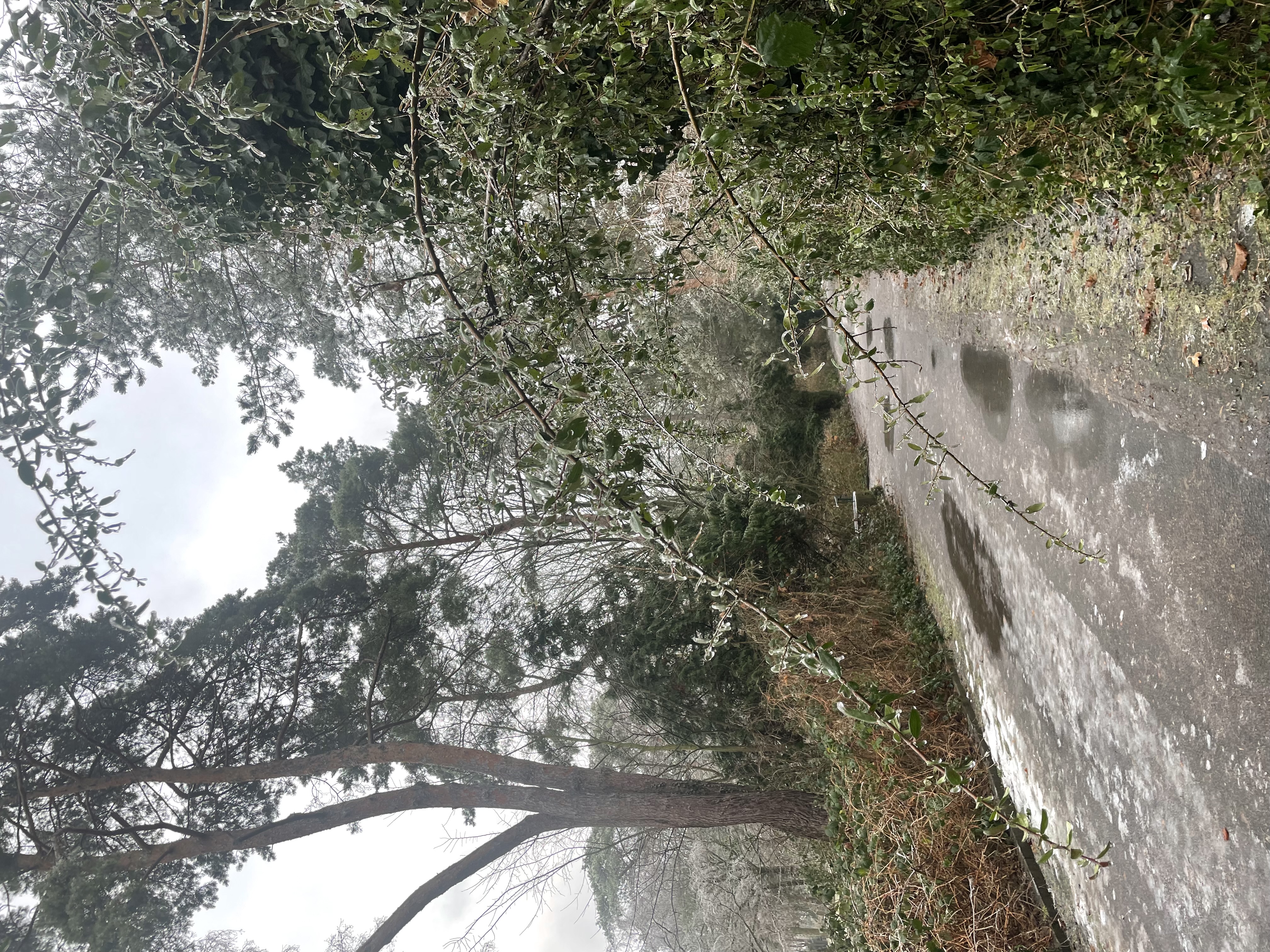 image-8