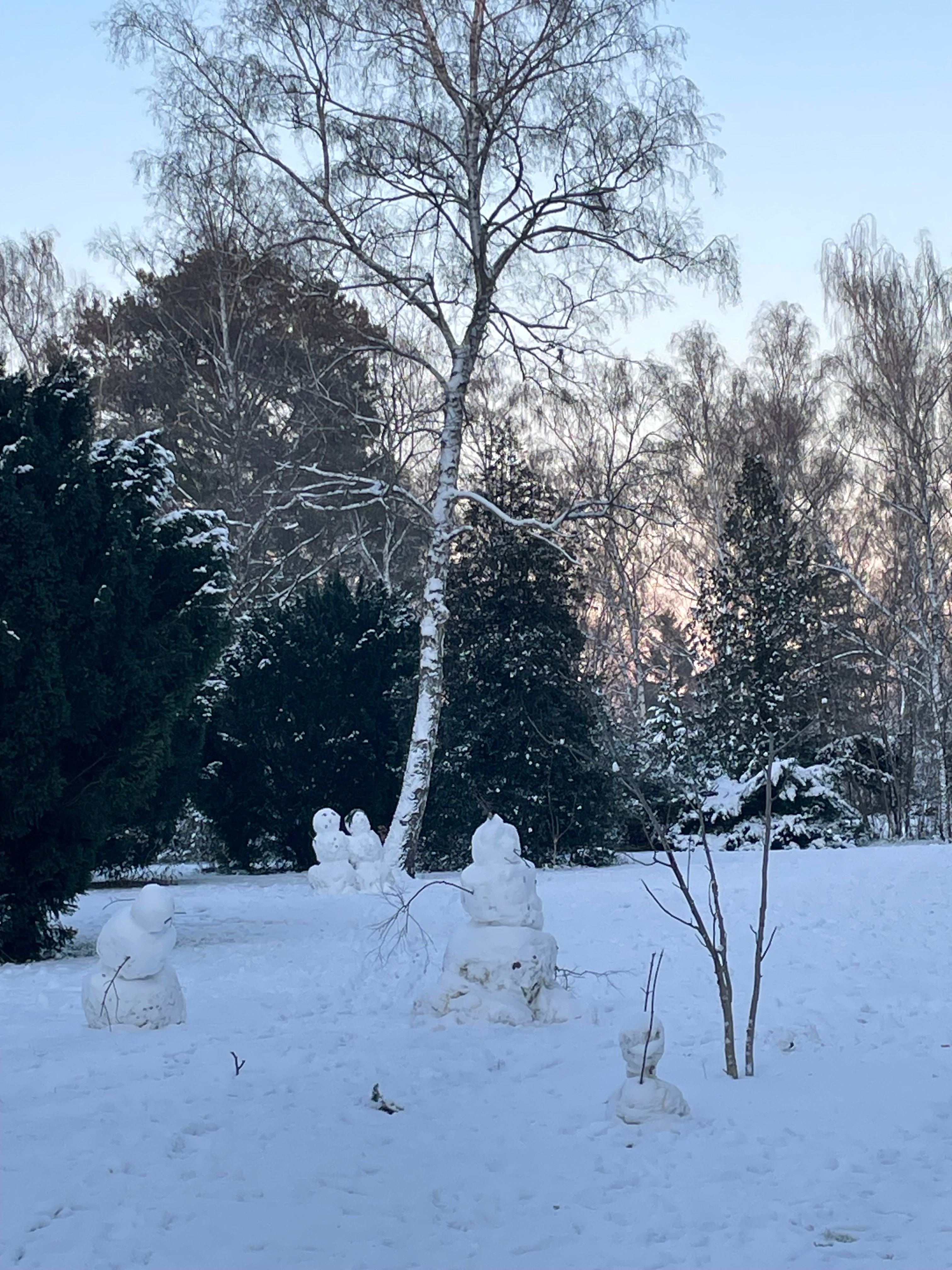 image-11