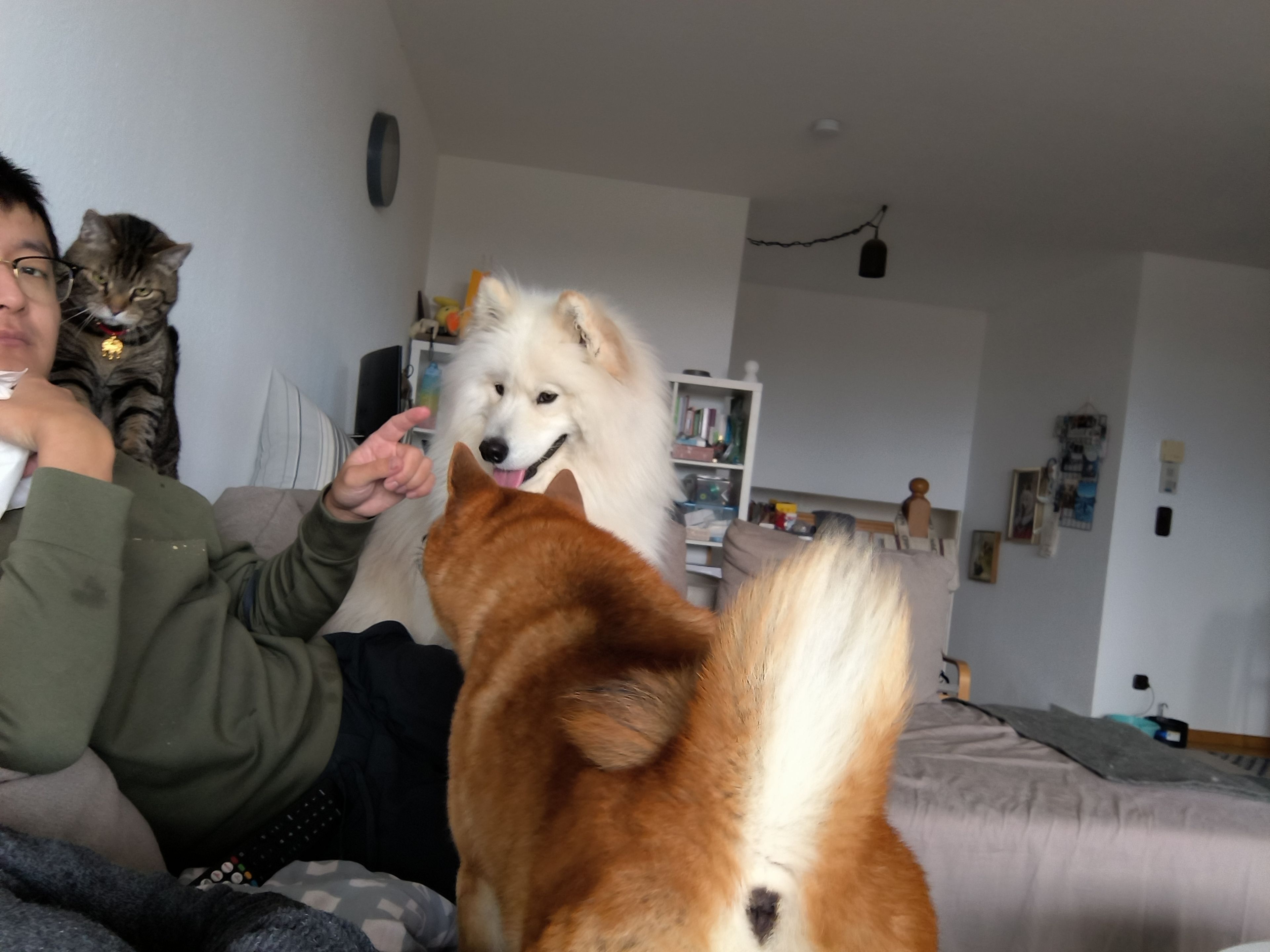 image-8