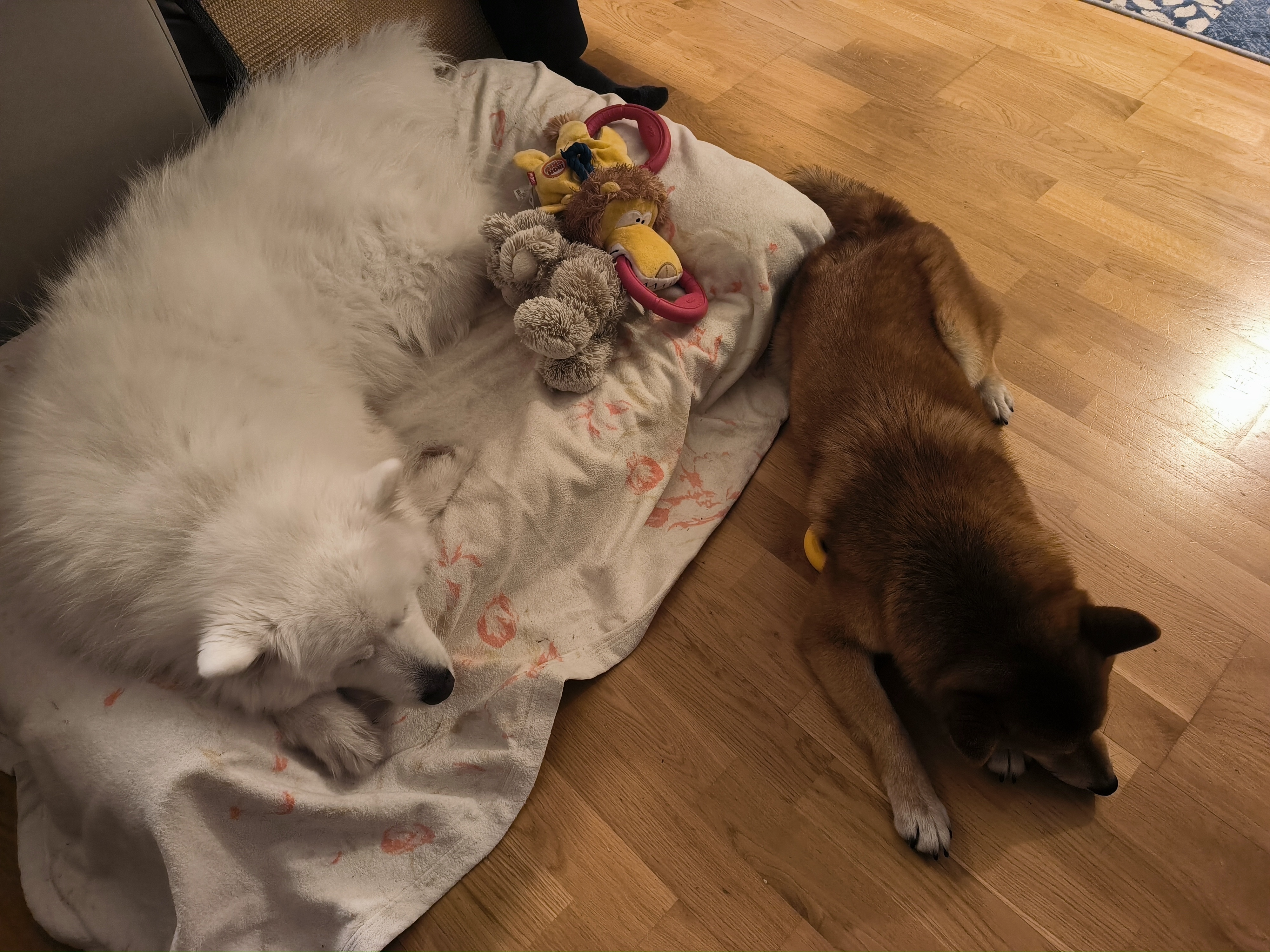 image-11