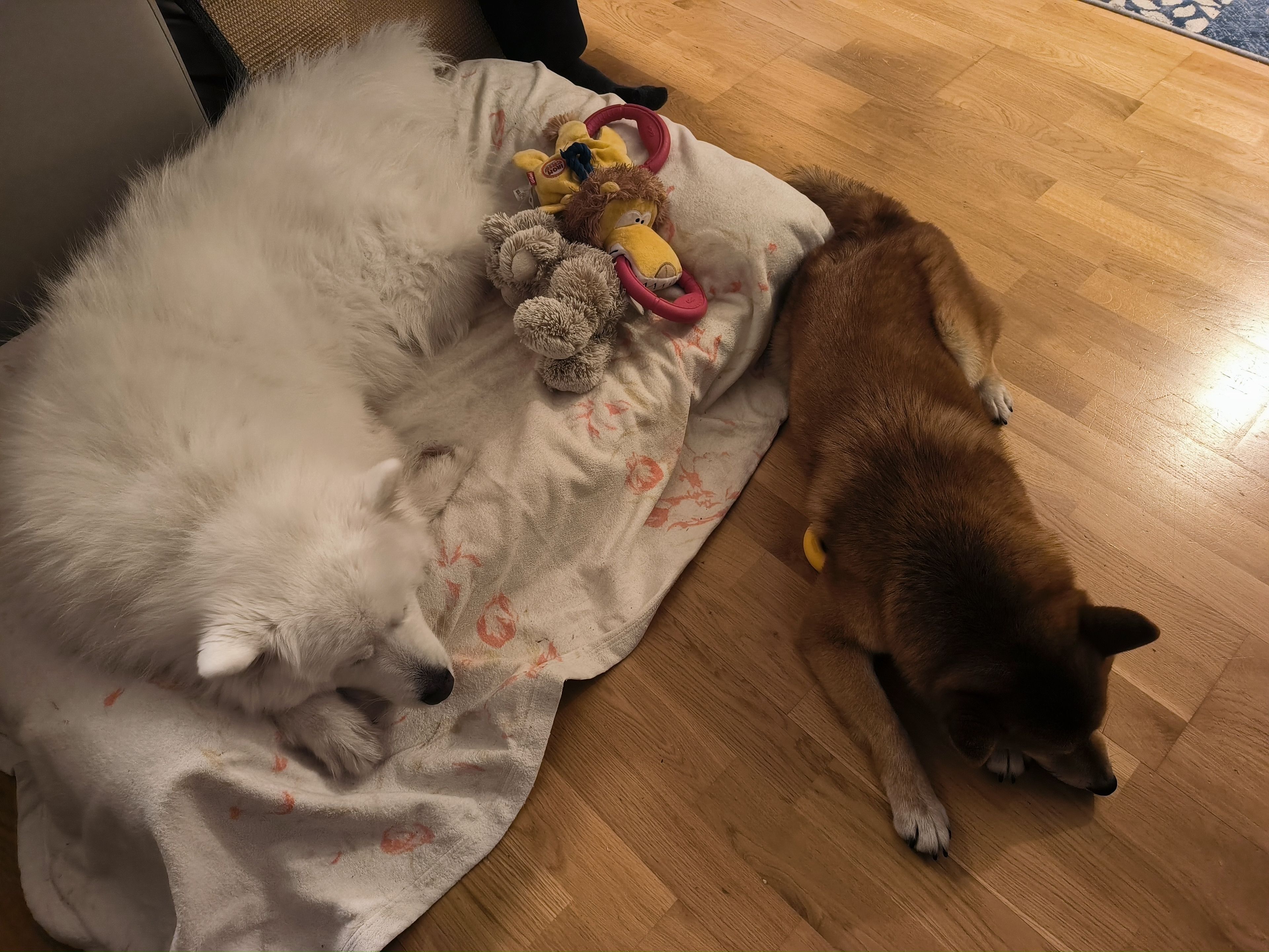 image-11