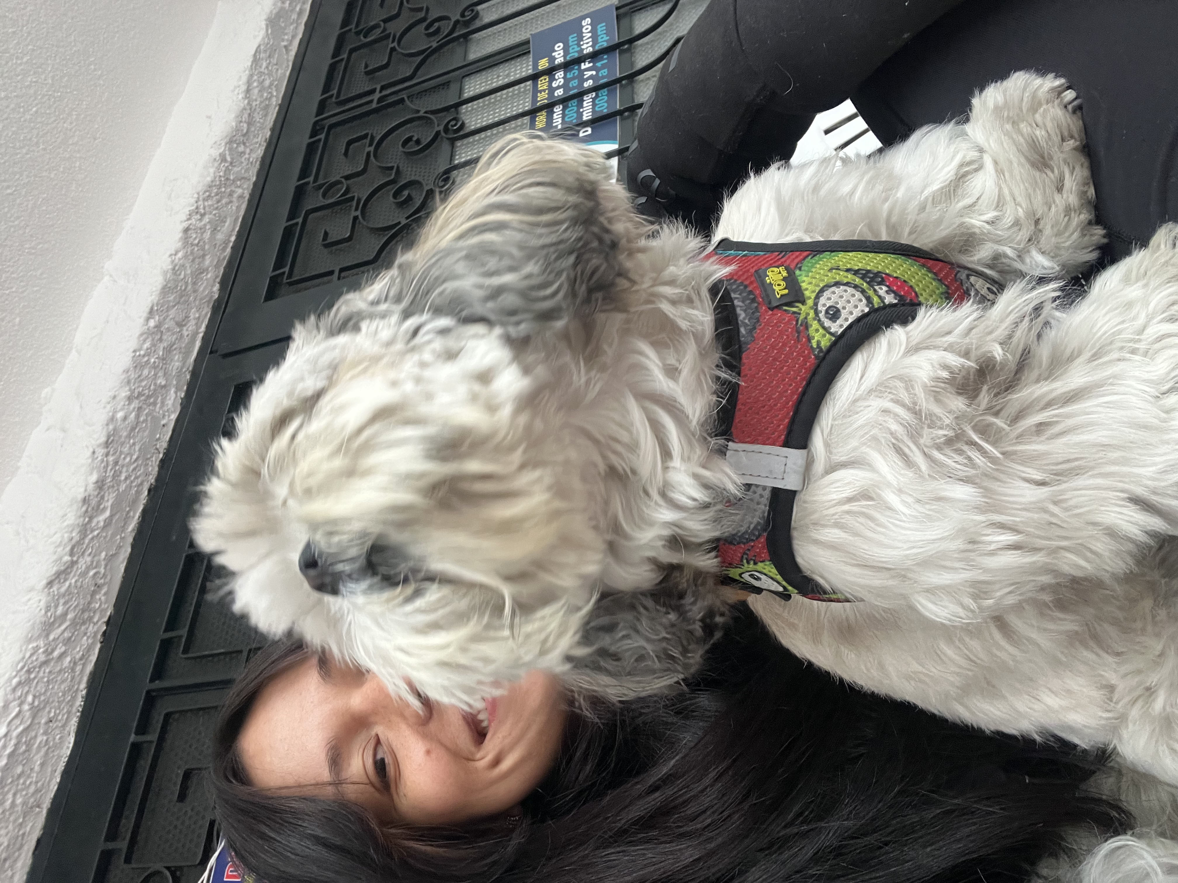 image-8