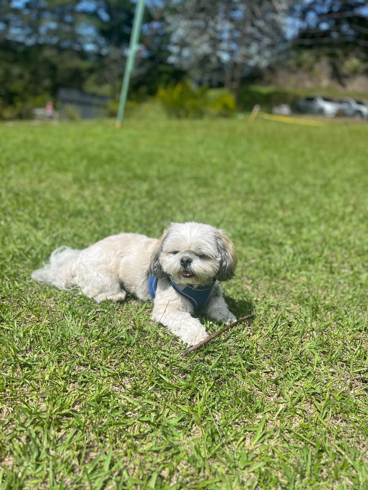 image-3