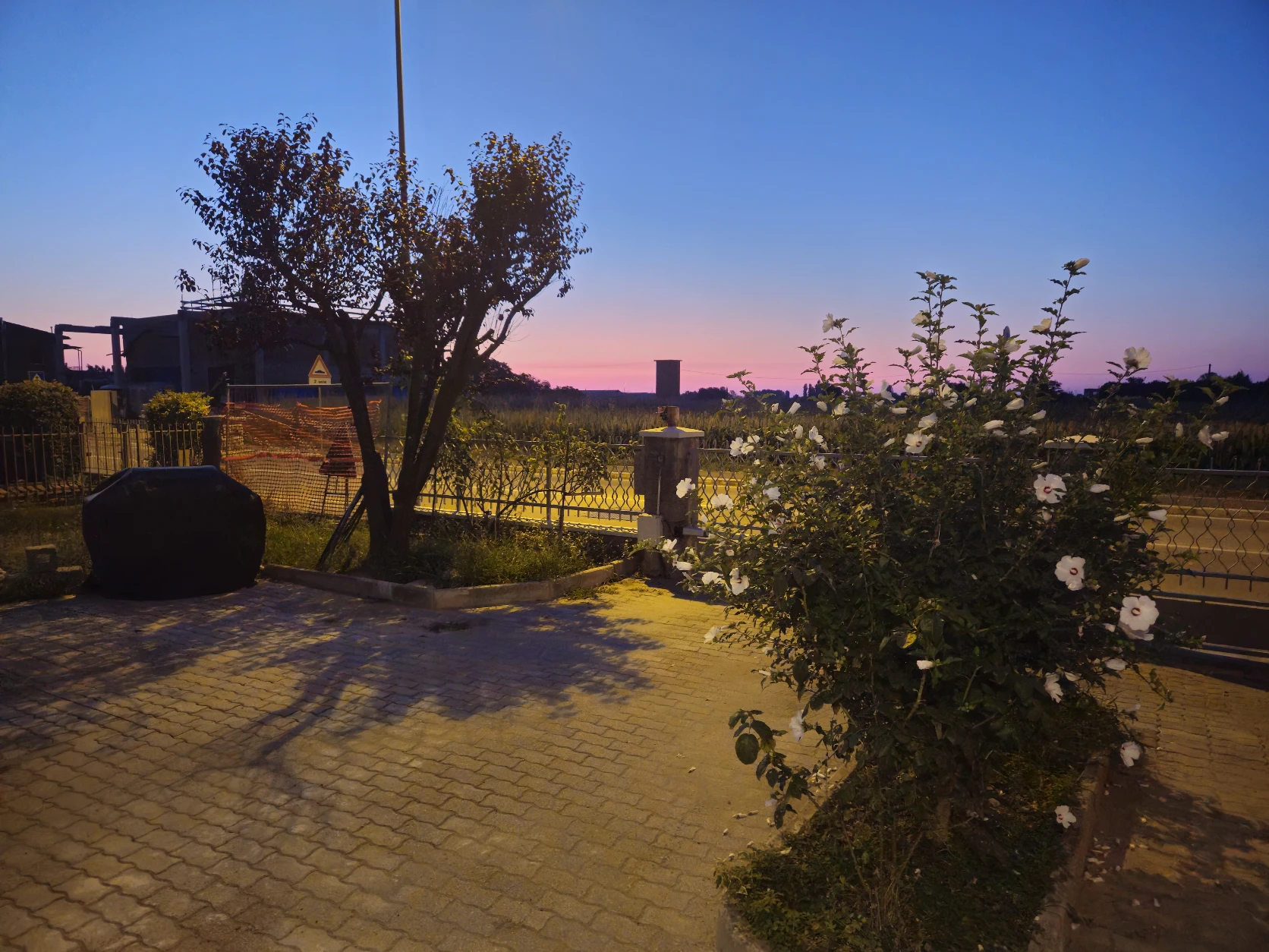 image-7