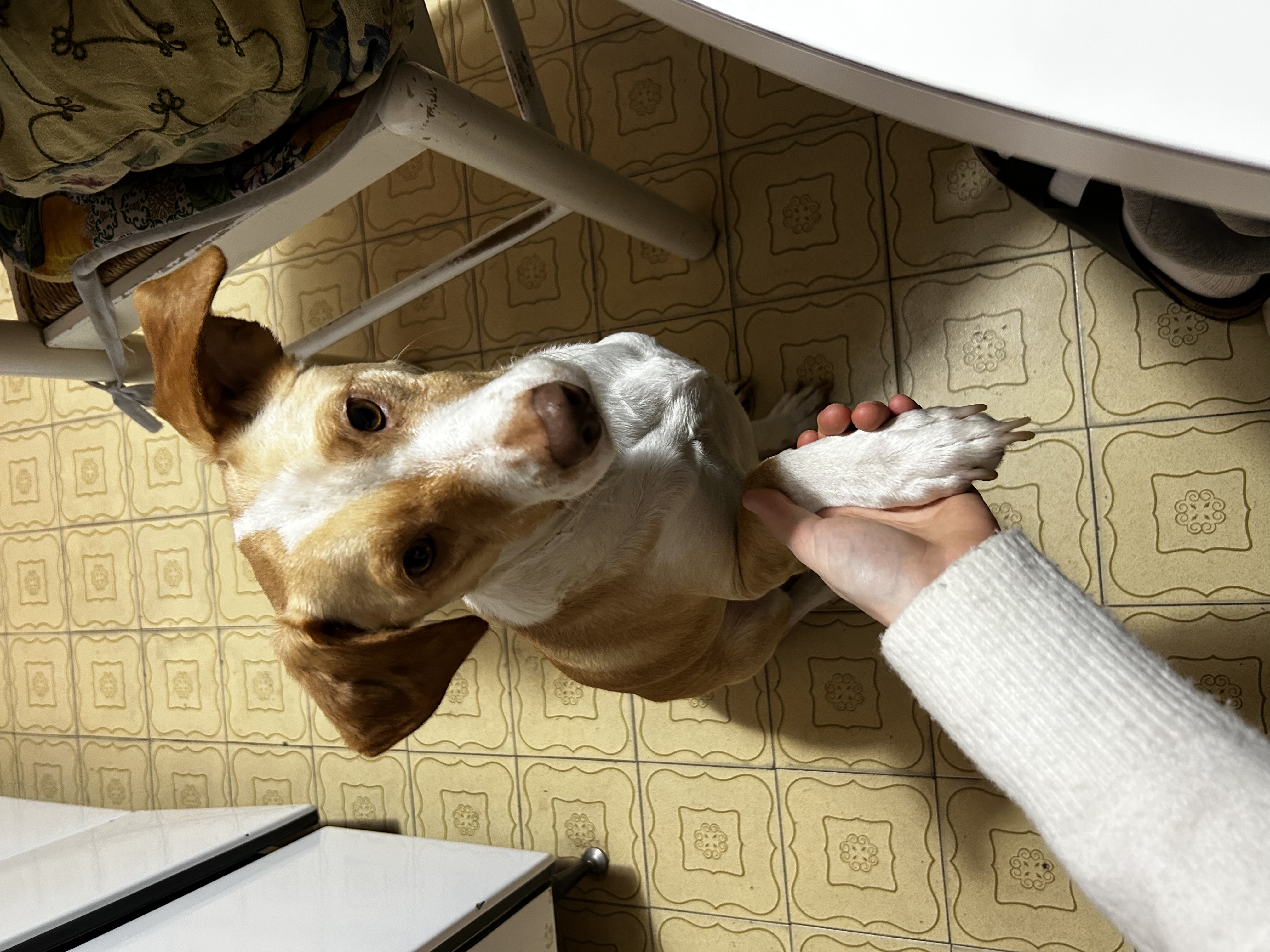 image-7