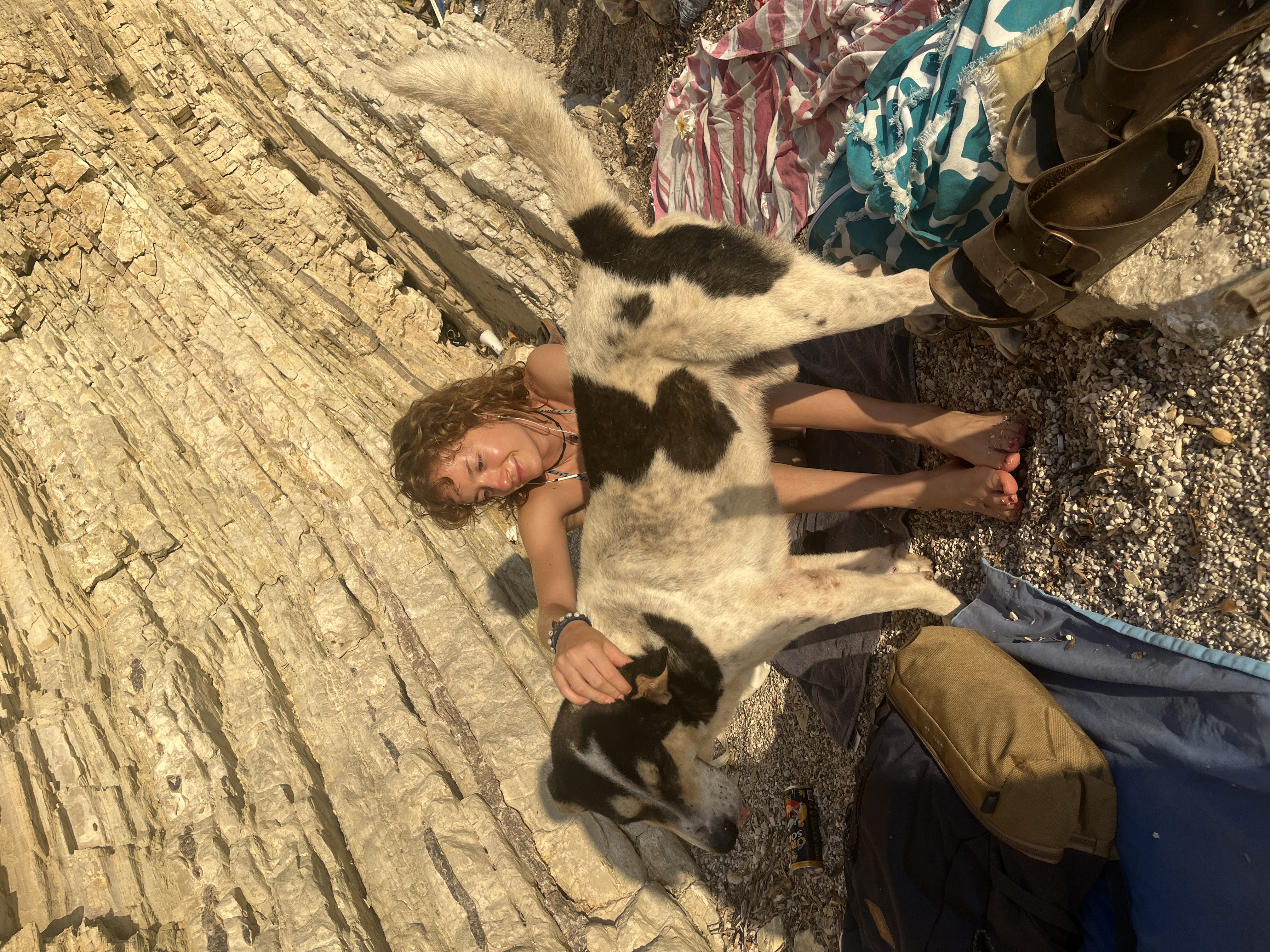 image-4