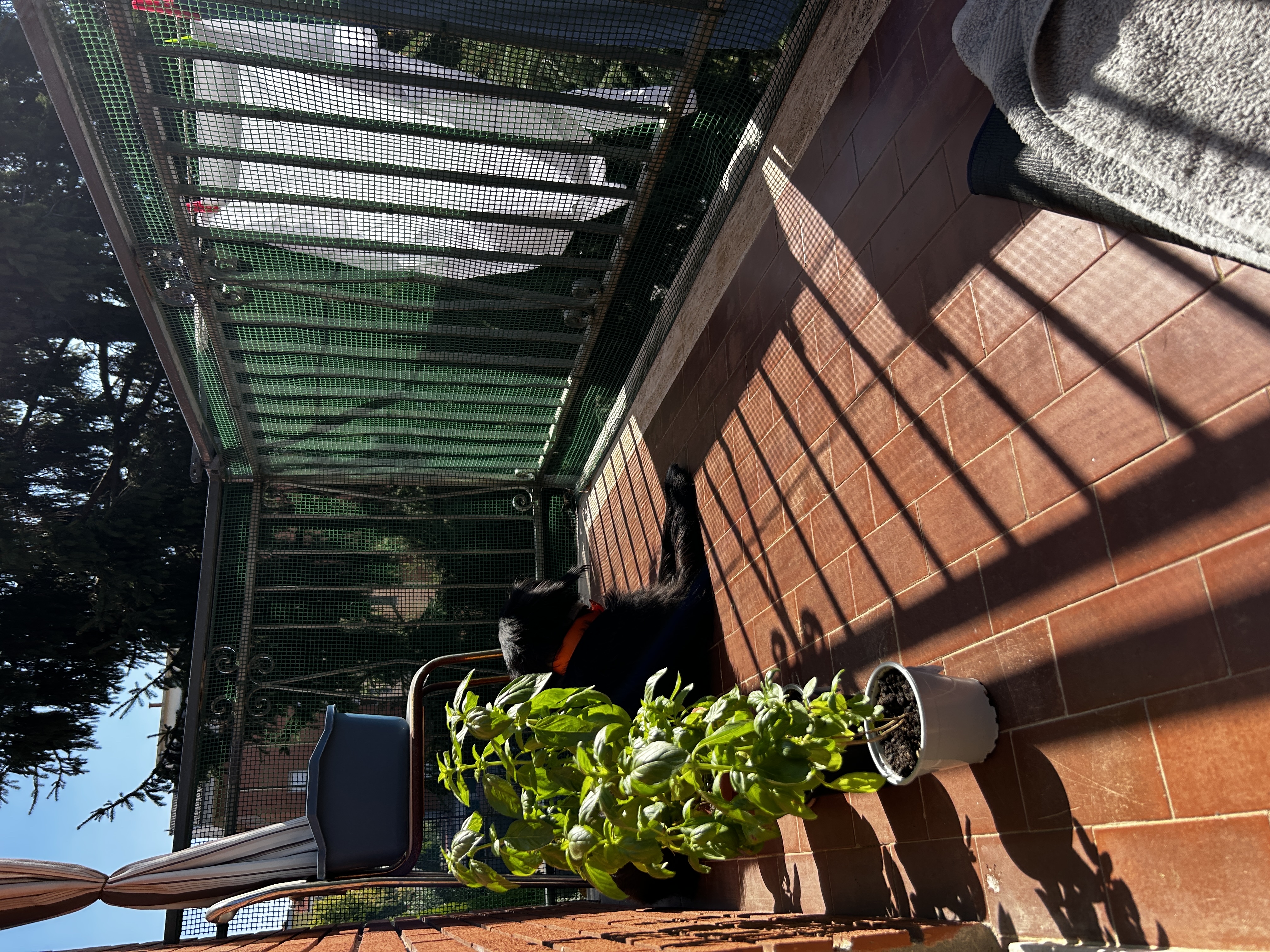 image-12